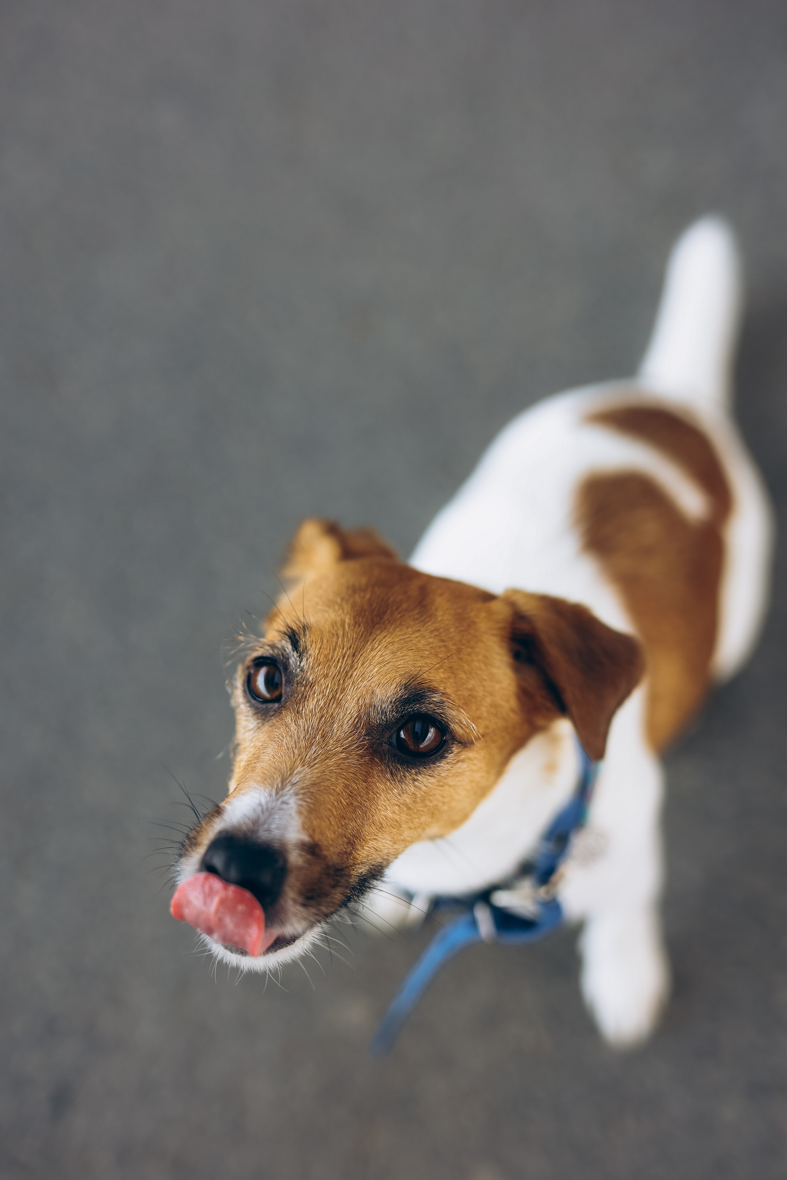 Прогулка в парке в день рождения Ульяны. Семейный и портретный фотограф из Казани