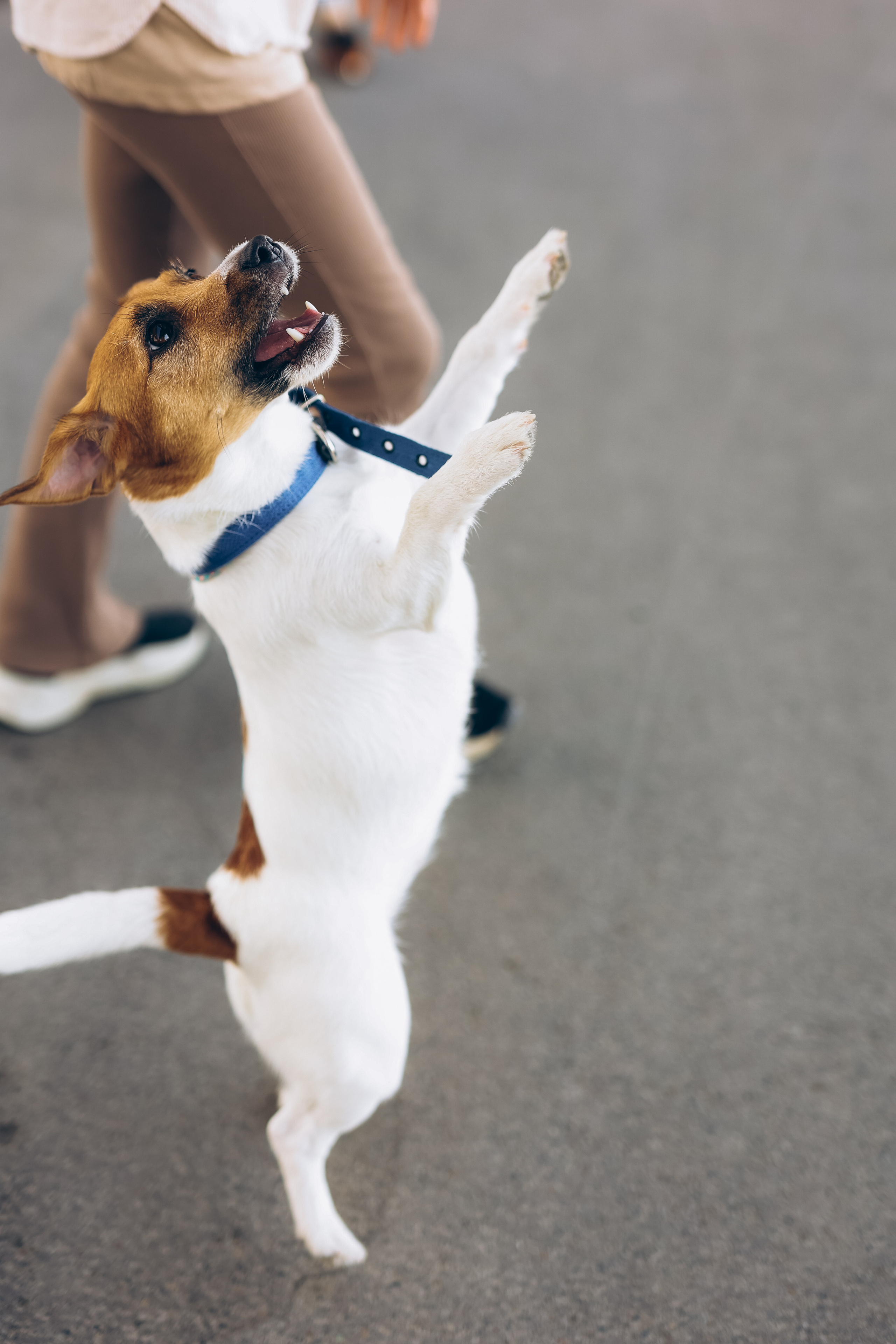 Прогулка в парке в день рождения Ульяны. Семейный и портретный фотограф из Казани