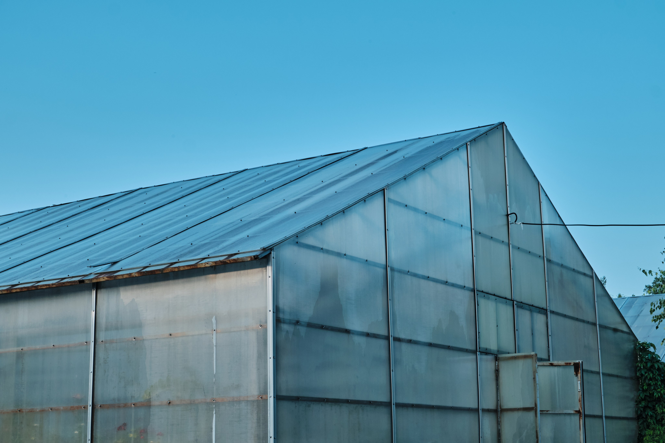 Академ-городок и ботанический сад. Goncharov Tim