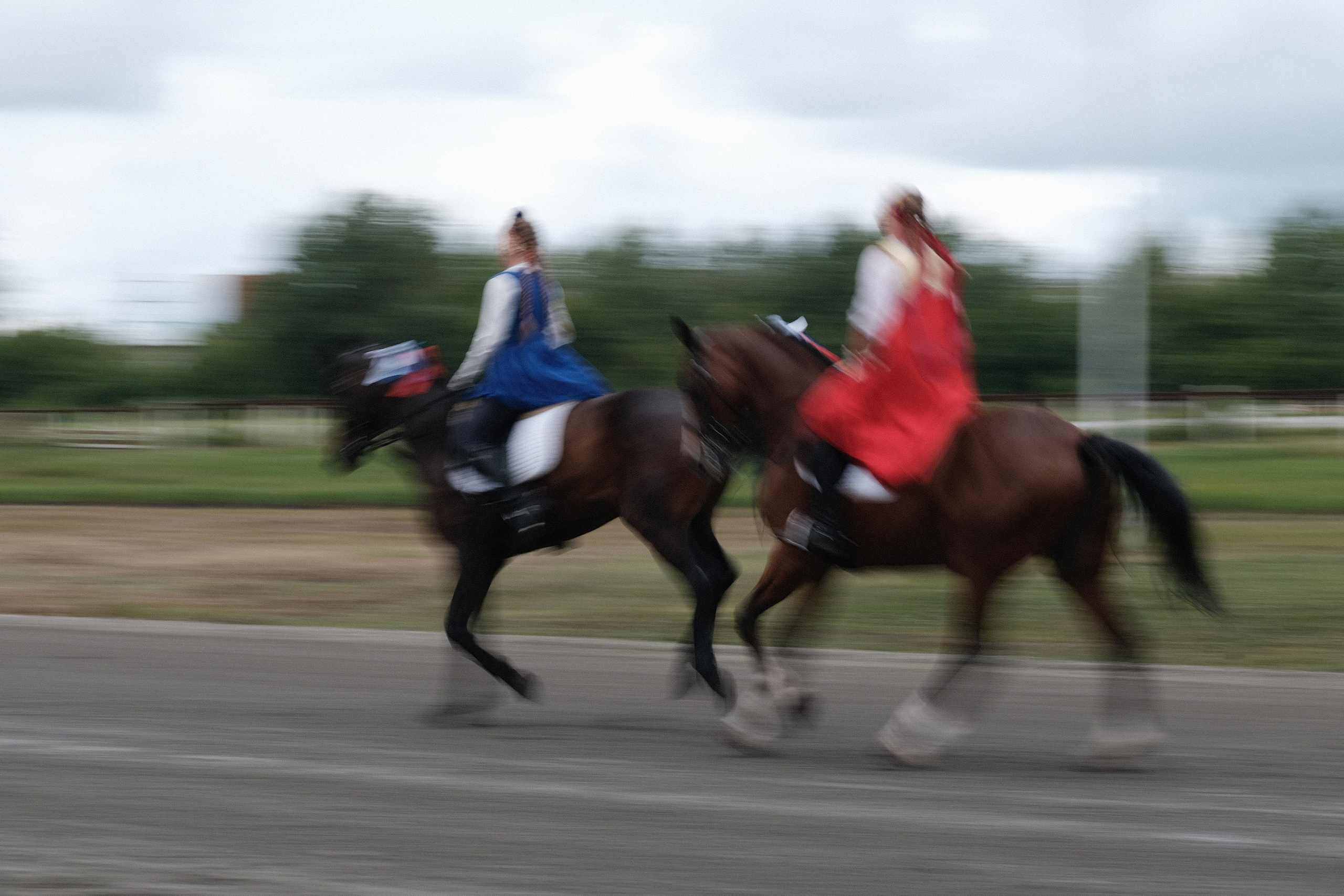 Ипподром. Goncharov Tim