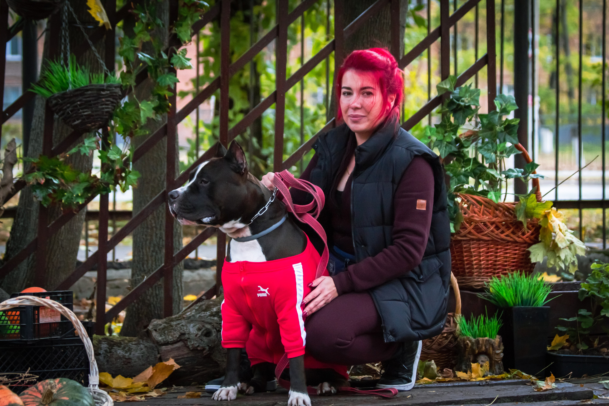 Костюмированный парад собак. Фотограф анималист — Тула, Москва