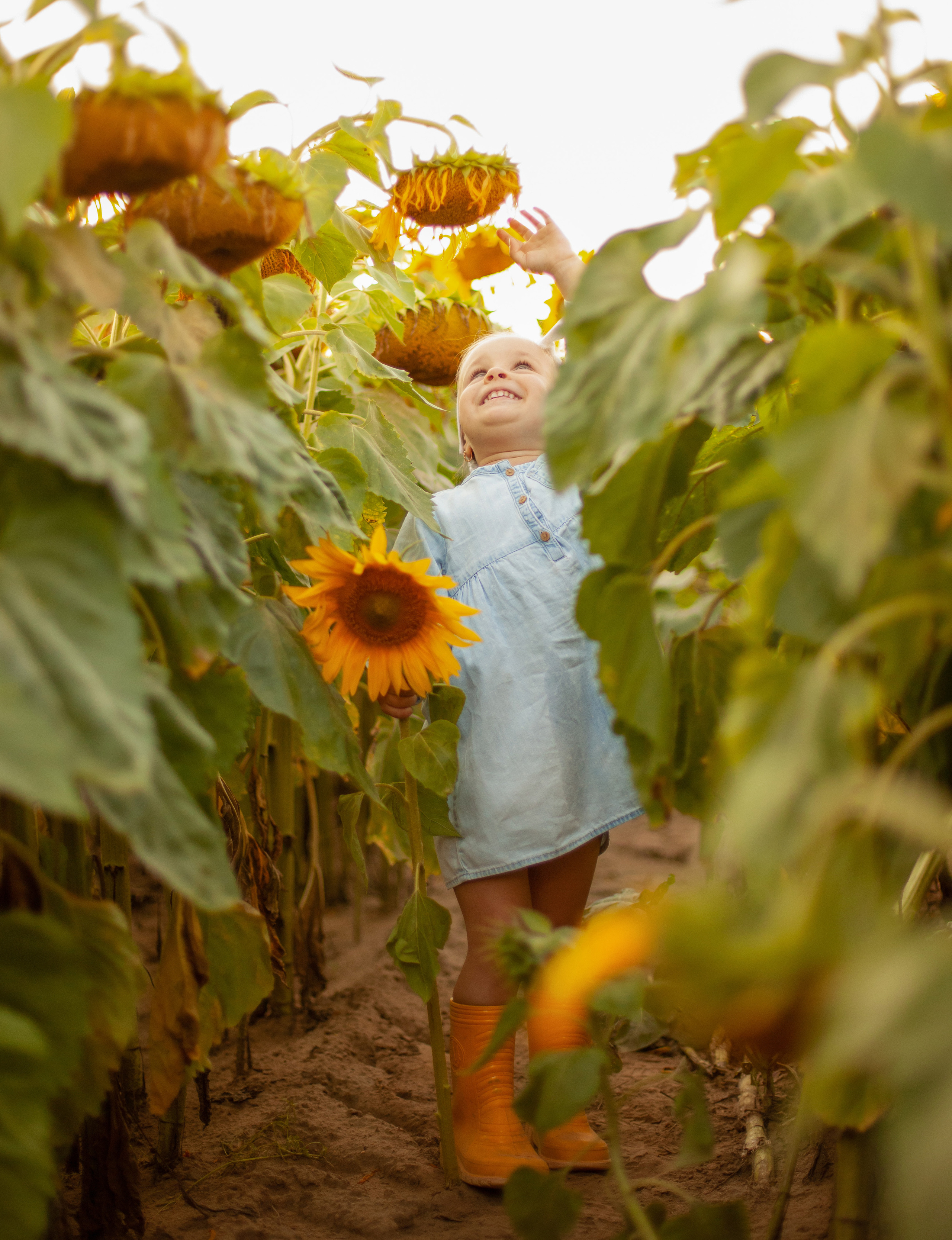 В цветочном поле. Портретный фотограф в Калининграде Алеся Раух