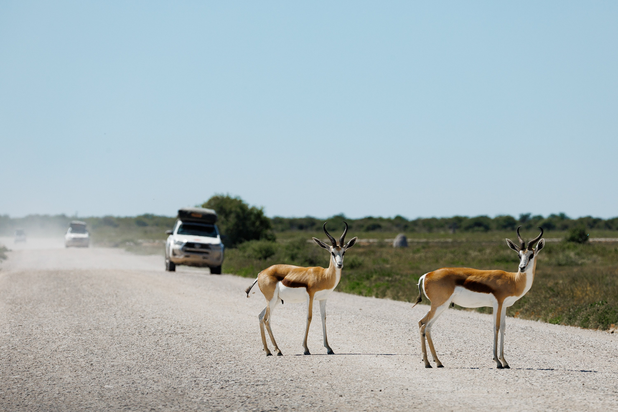 НАМИБИЯ. Роадтрип