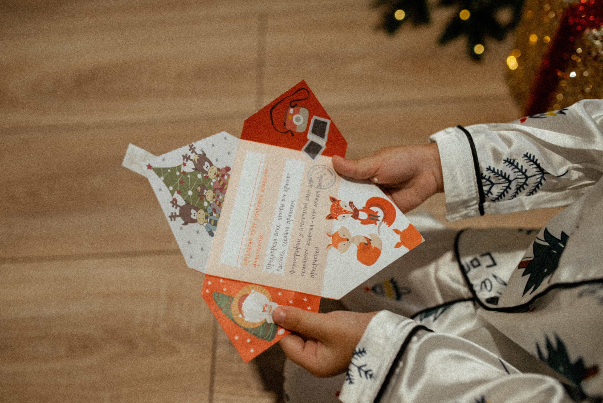 Домашняя новогодняя. Галина Чекунова Фотограф в Ростове-на-Дону