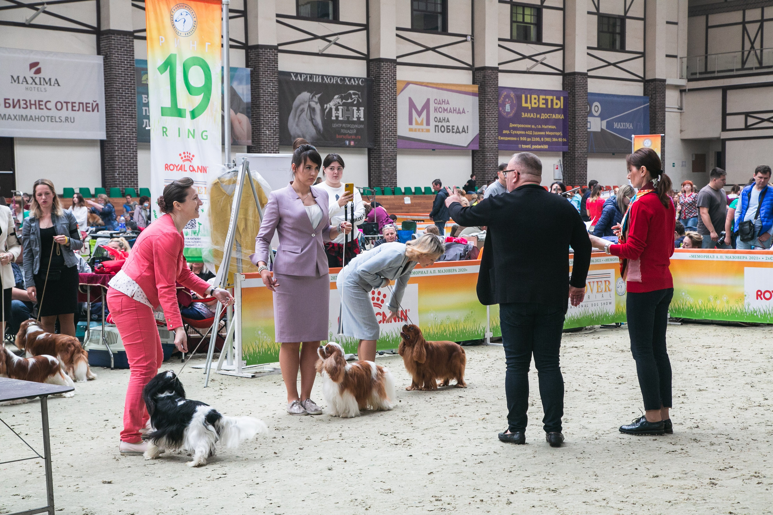Выставки. Профессиональный фотограф Евгений Земцов в Москве. Контент съемка, репортаж мероприятий, бизнес портреты