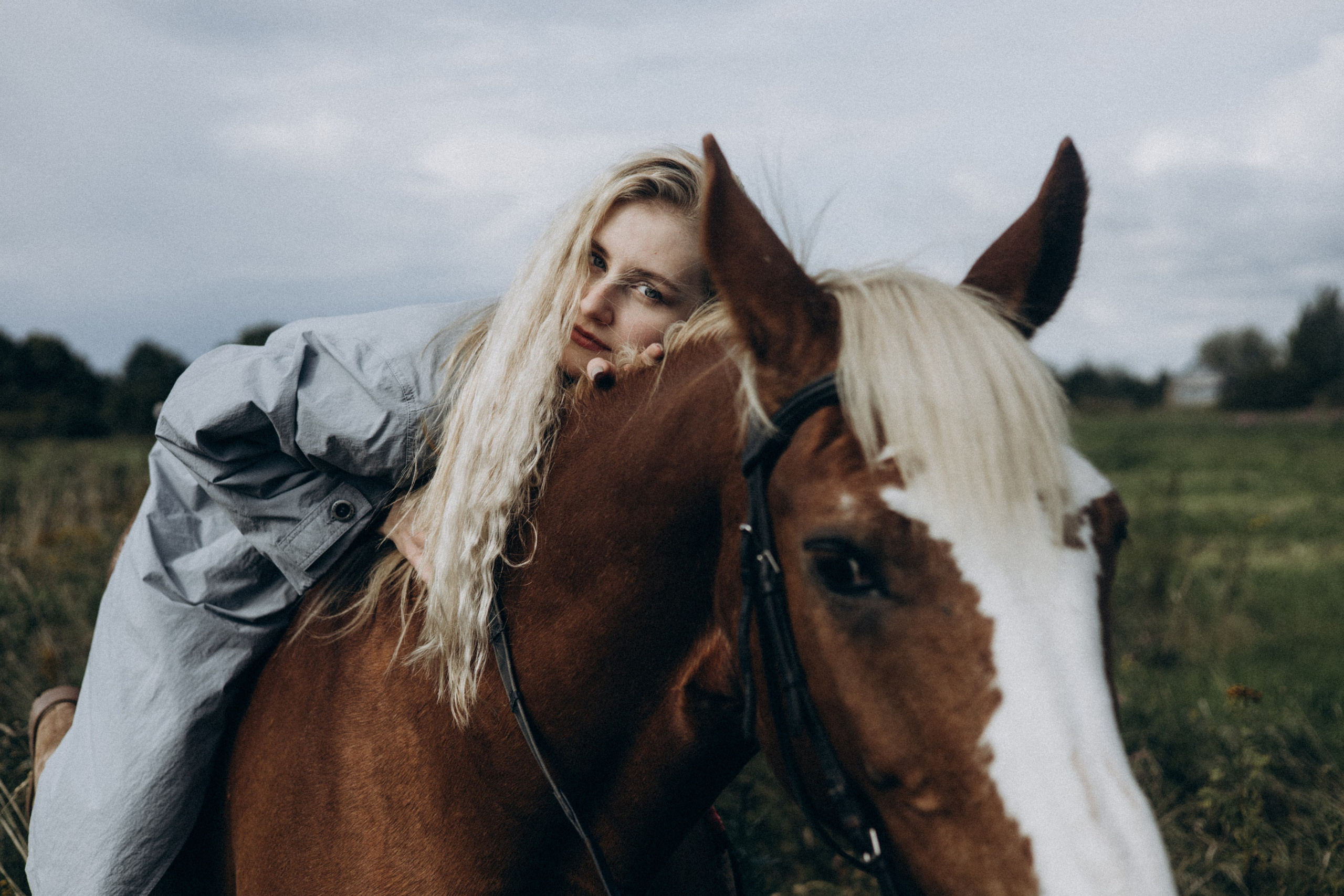 История любви девушки и лошади. Главная