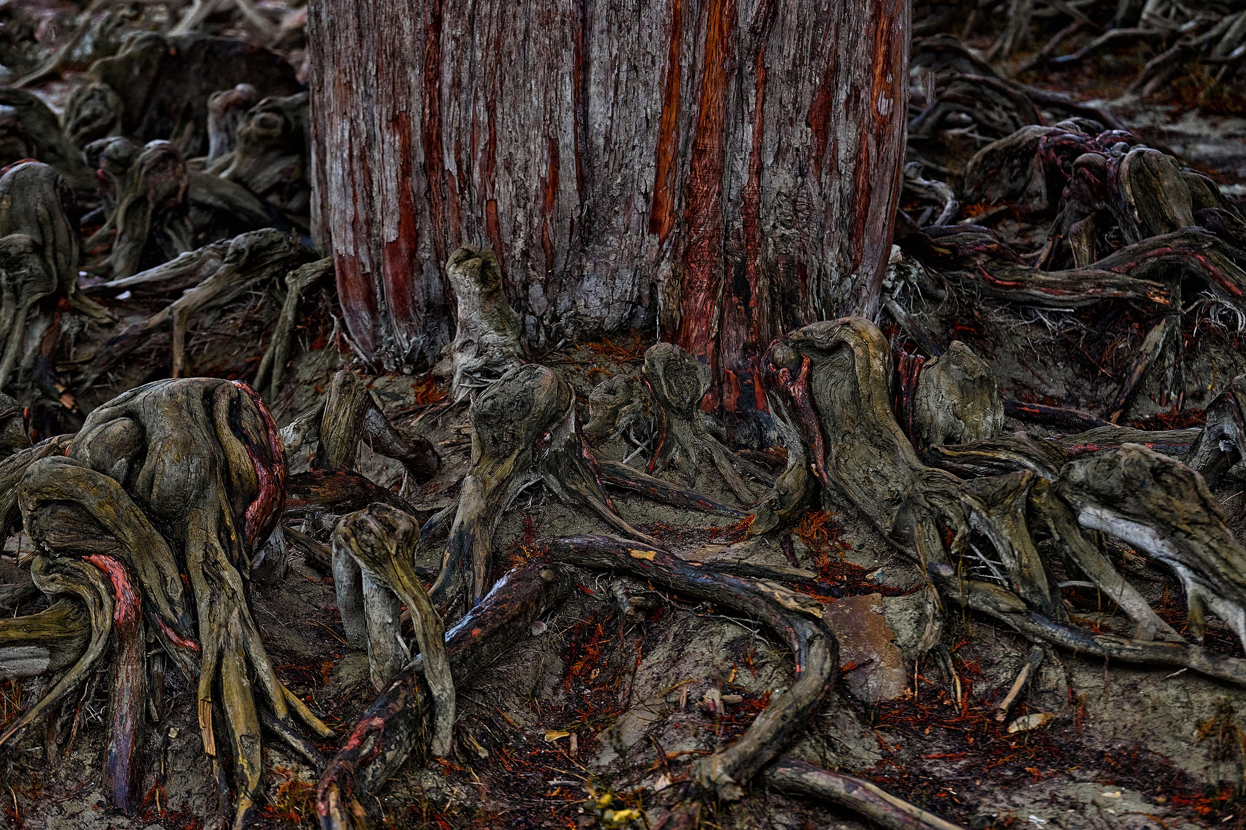 Текстуры и другие фоны. Textures and other. Яркие фото на Чёрном море