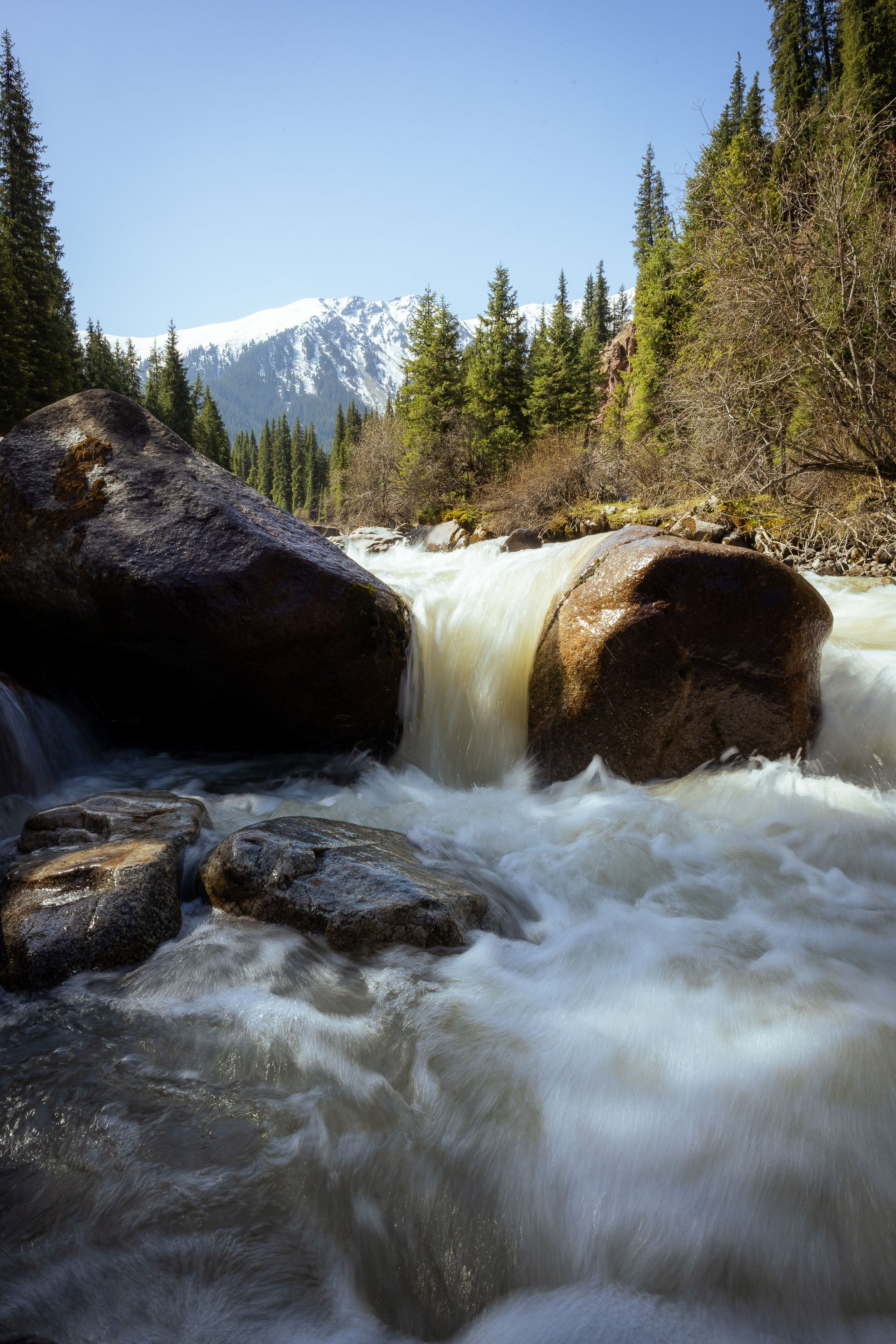 Кыргызстан (весна 2025). Фотограф Виноградов Константин