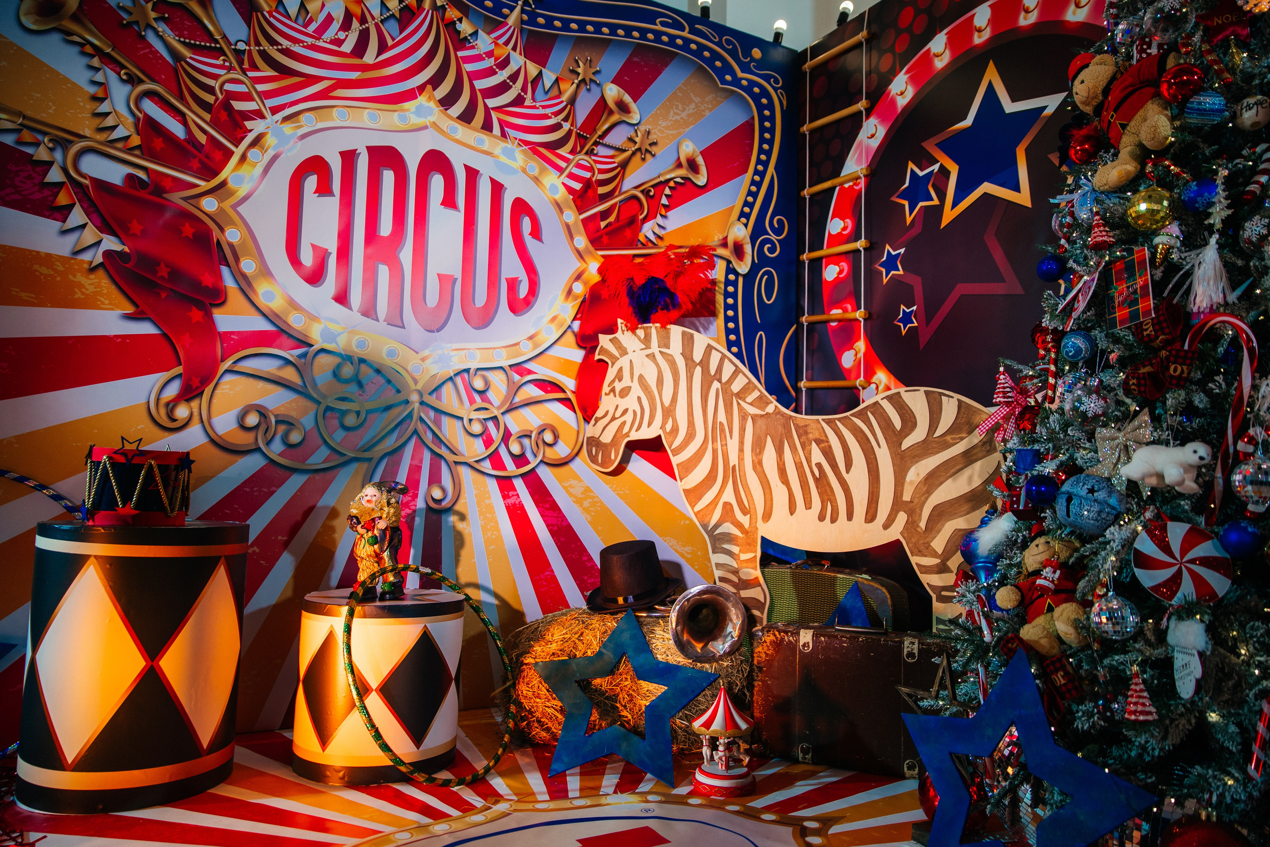 Корпоратив Цирк. Свадебный фотограф Минск РБ