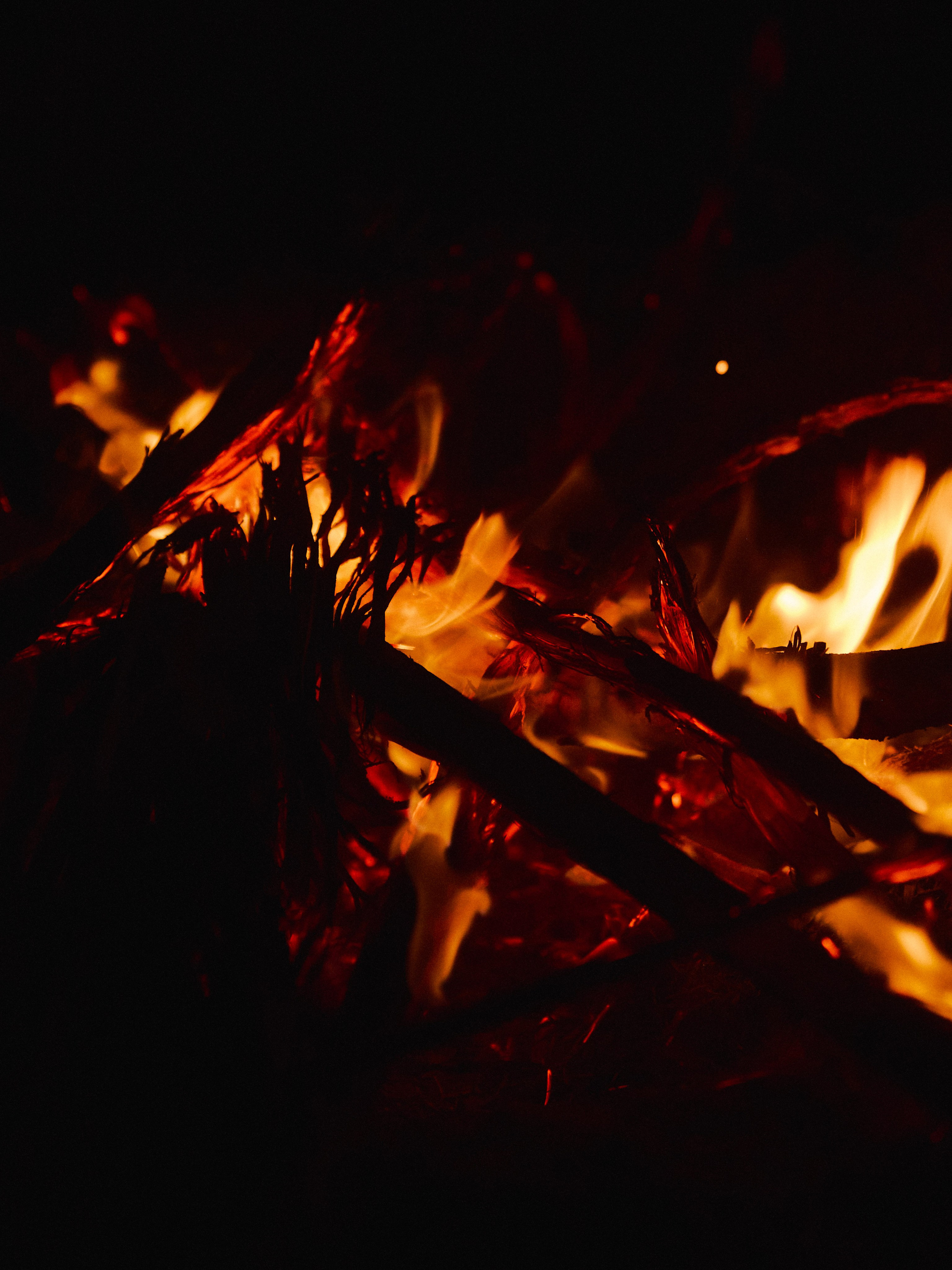 Другое 2. Jorgis Talè — photographer, kind person, teacher of arts and other mag