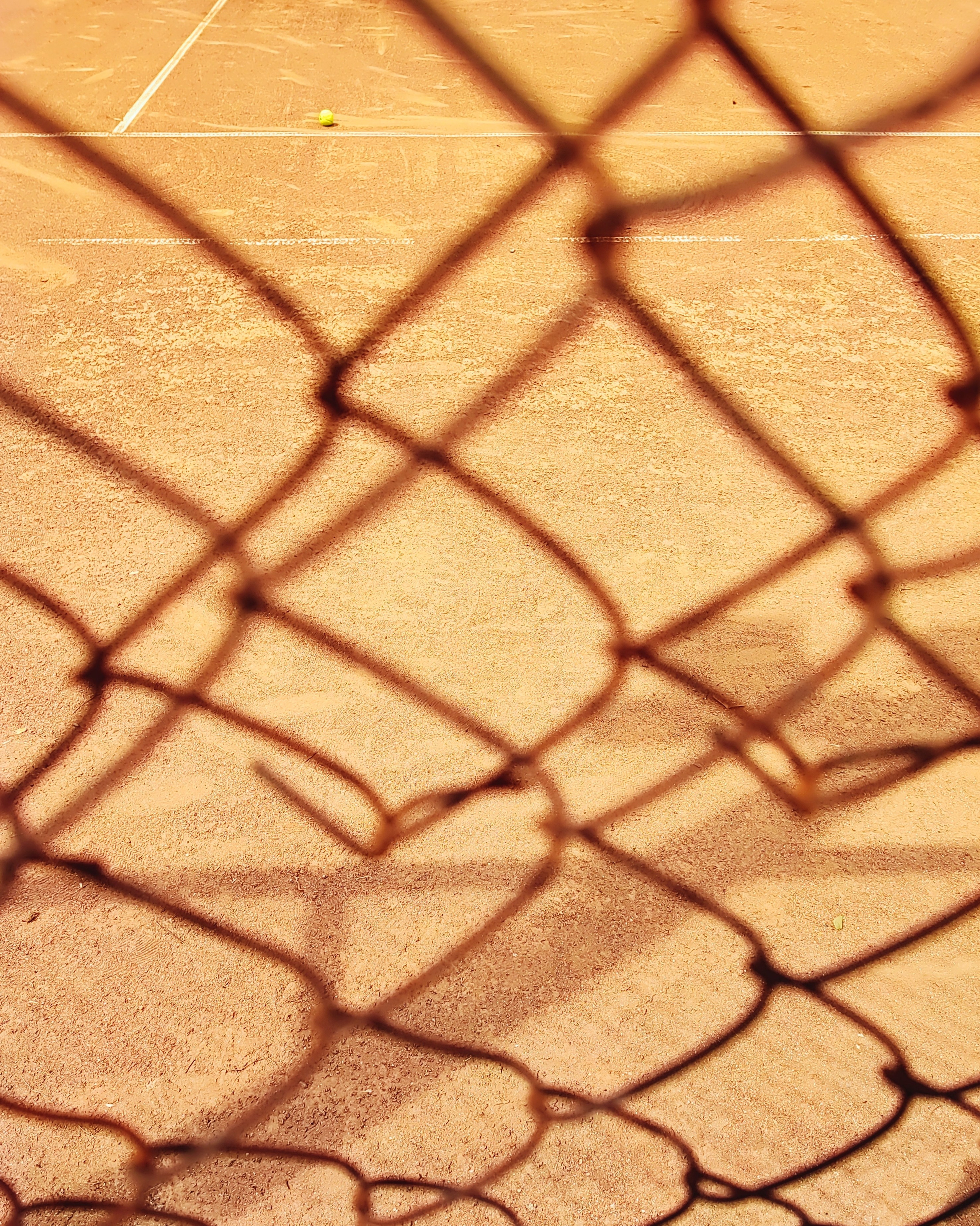 Намобилкус тульский. Репортажный фотограф Алексей Пирязев