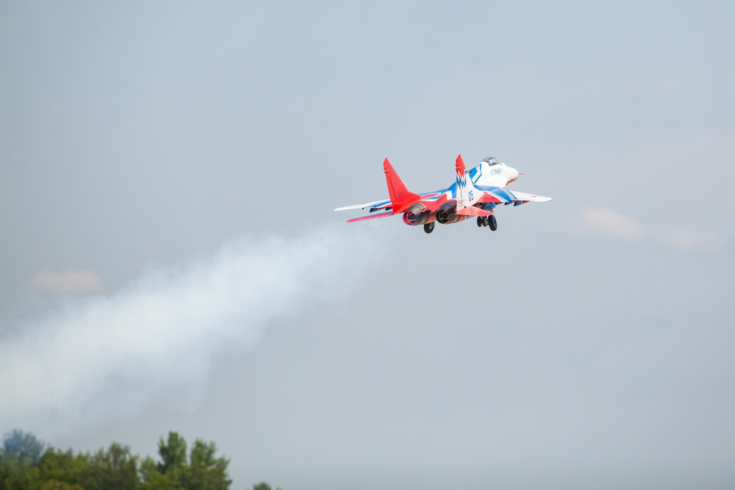 Тульские крылья (23 июня 2019). Репортажный фотограф Алексей Пирязев