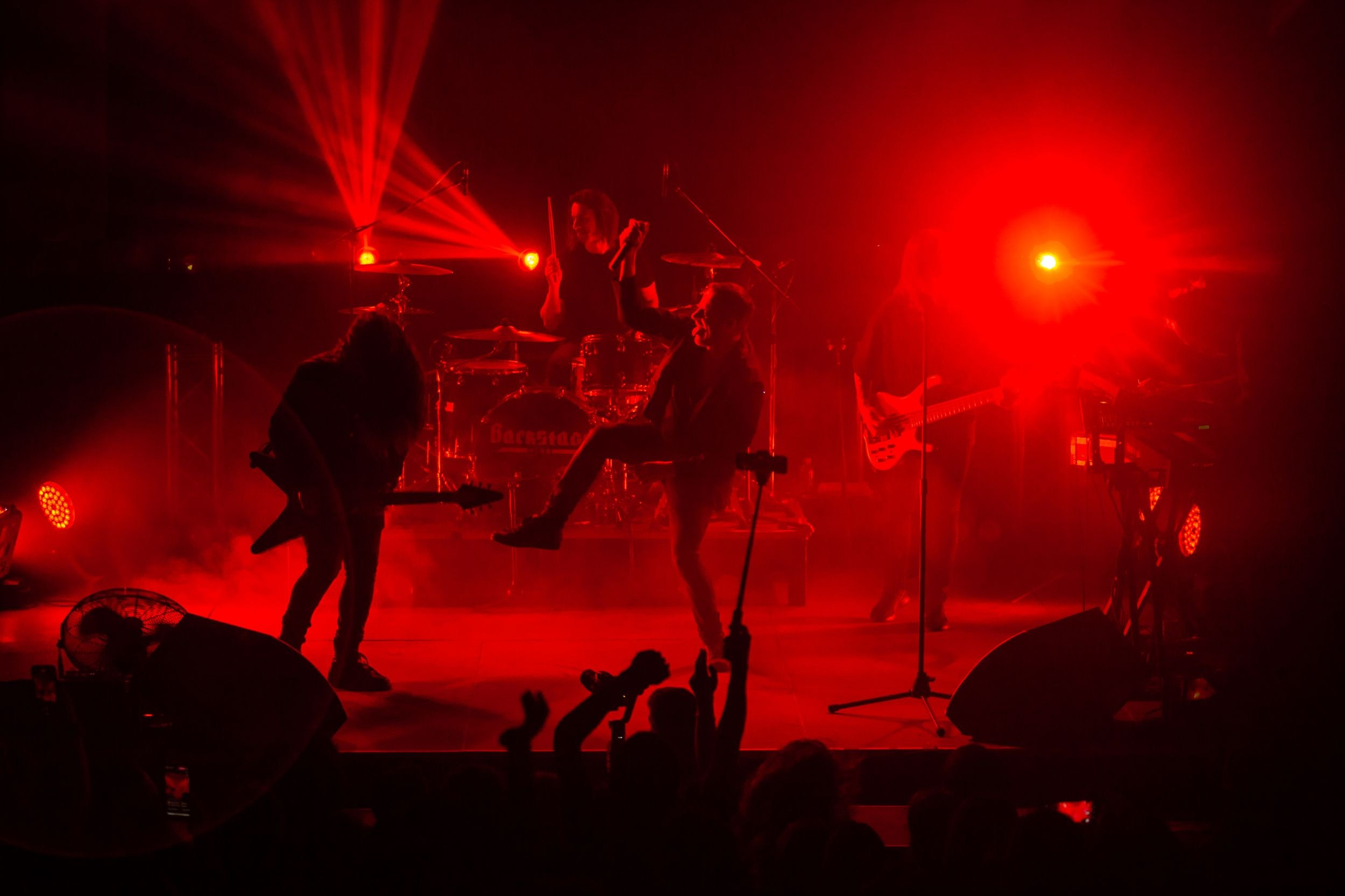 Animal ДжаZ. Репортажный фотограф Алексей Пирязев