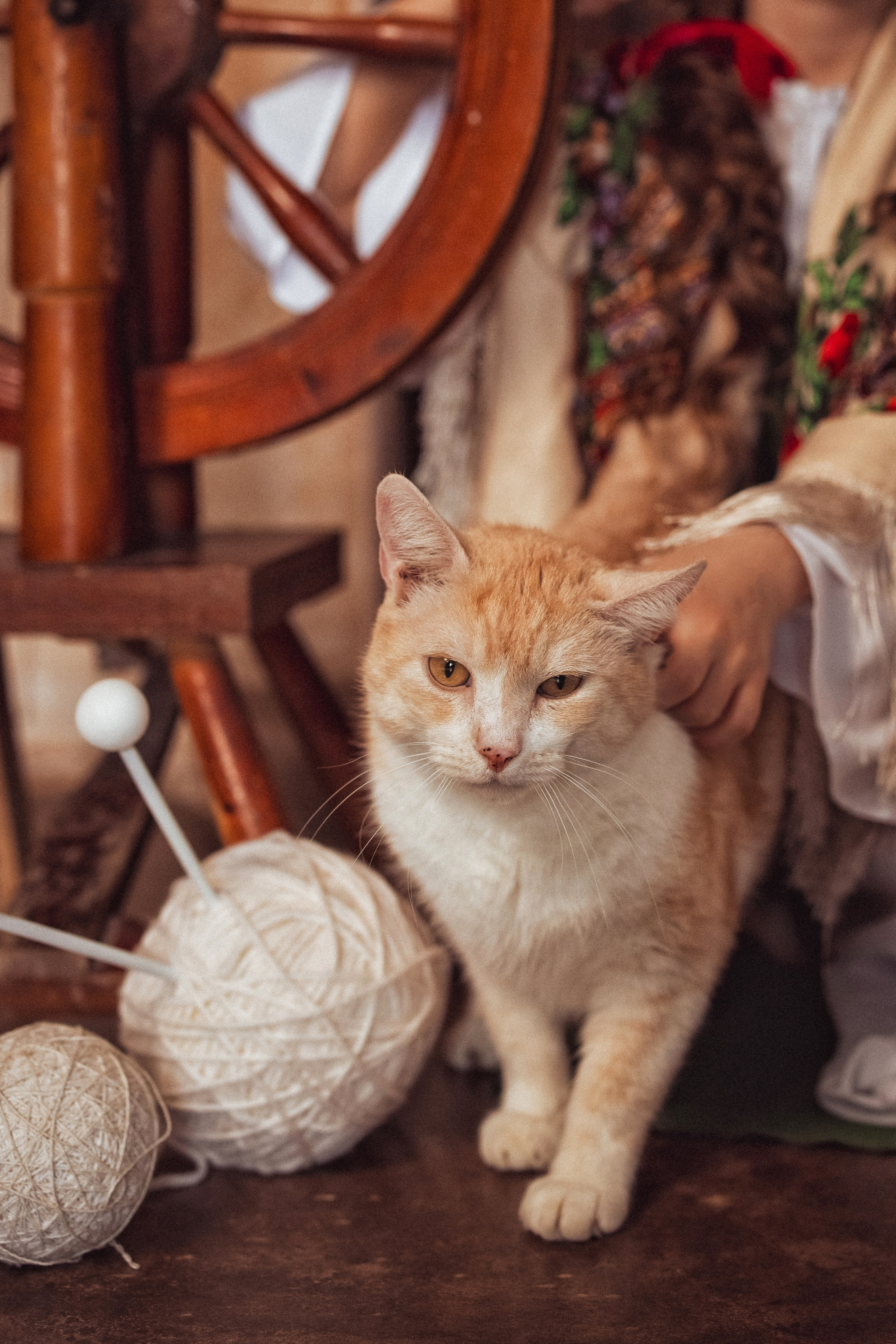 Фотосессия в русском стиле. Фотопроект"Масленица» в фотостудии Эль, город Краснодар. Семейный и детский фотограф в Краснодаре Анна Трашкова