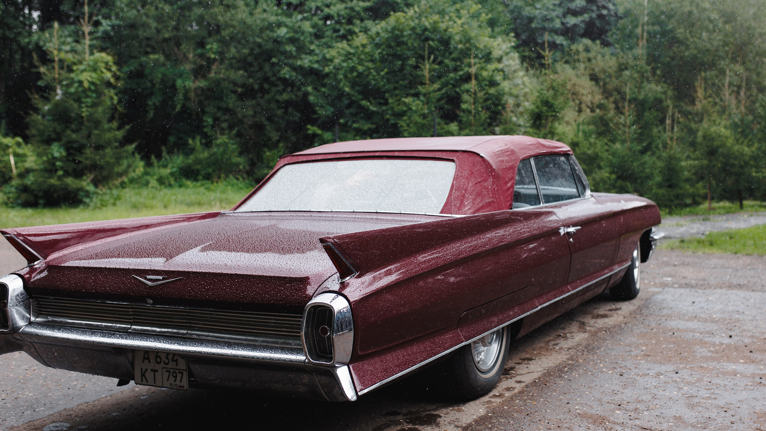 Can't Take My Eyes off You (full day). Свадебный фотограф в Москве Мария Крош