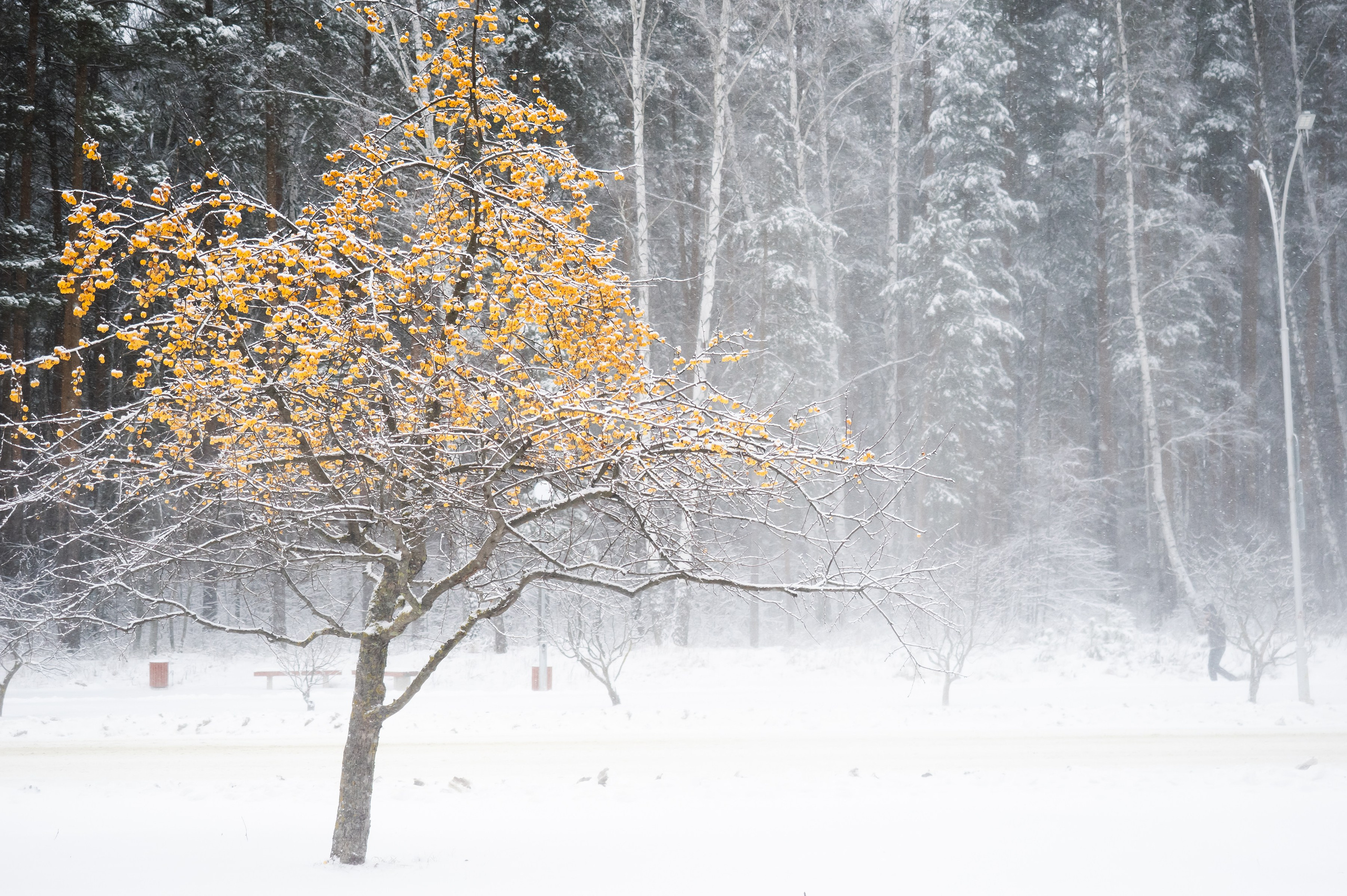 Красота Заречного. Репортажный, семейный и детский фотограф в Пензе и Заречном Арина Ермилова. Картины барельеф на заказ