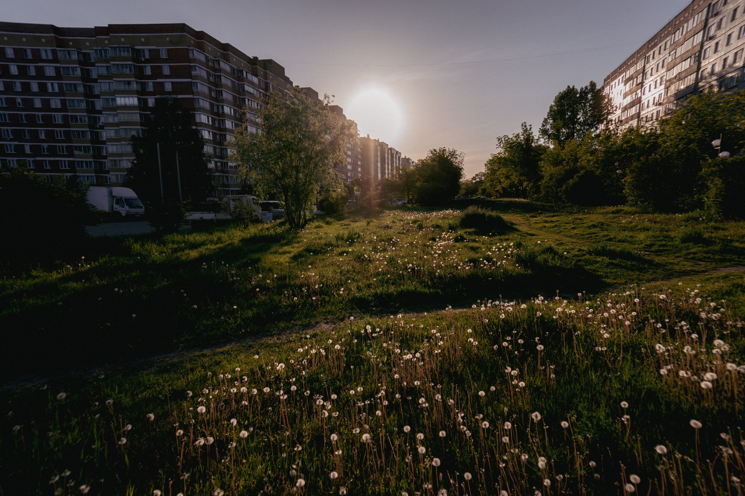 04.06.2025 | Сосновоборск. Kuznetsov | Фотограф в Красноярске