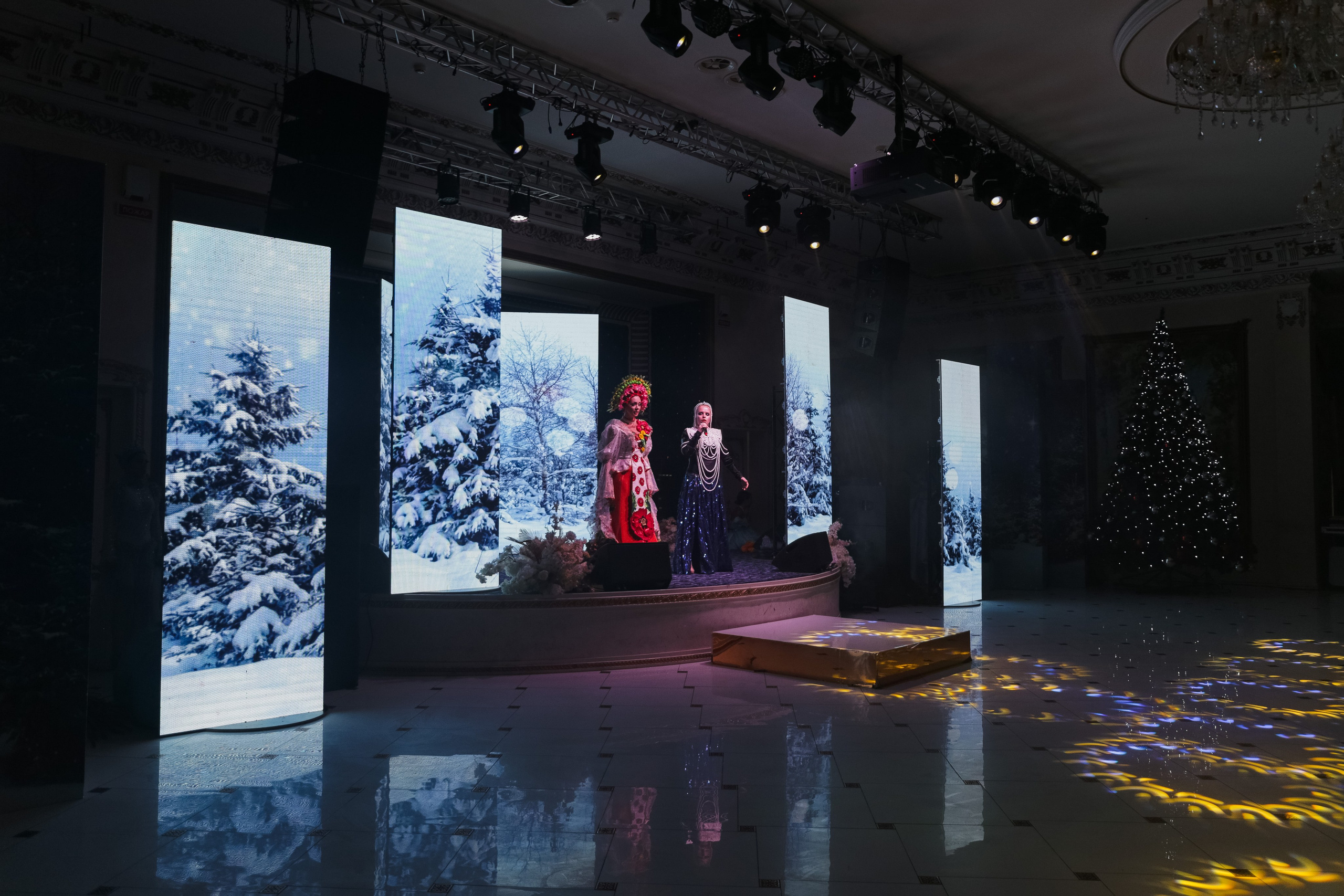 Новогоднее представление детское