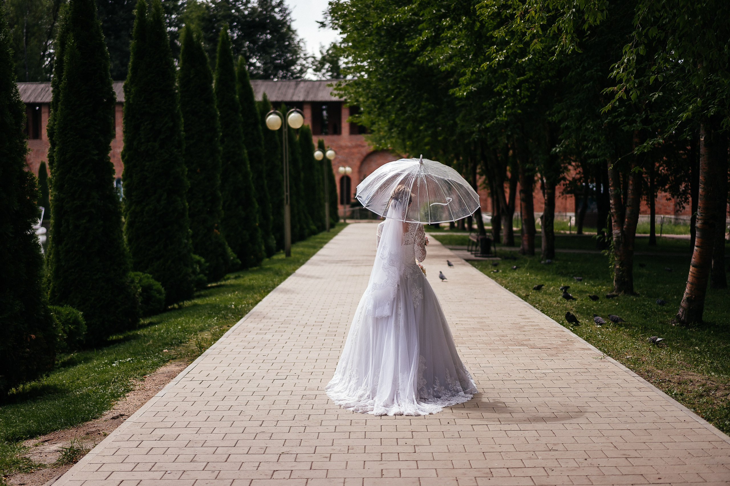Ксения & Максим | 05.07.2024. Фотограф и видеограф Смоленск | Студия Цезарь