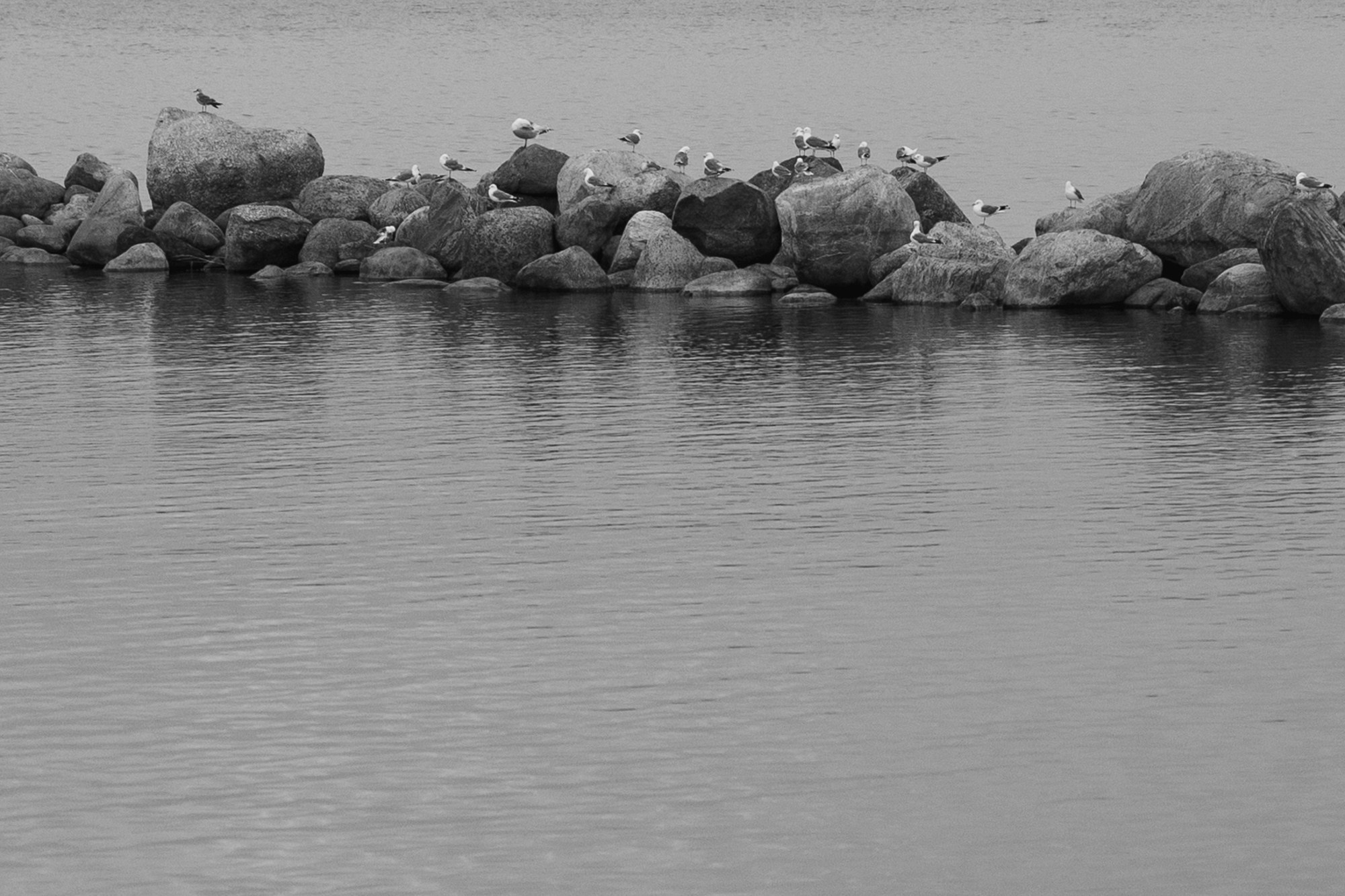 Соня и Дима СПб. Свадебный и семейный фотограф и видеограф, Крым, Москва, Санкт -Петербург