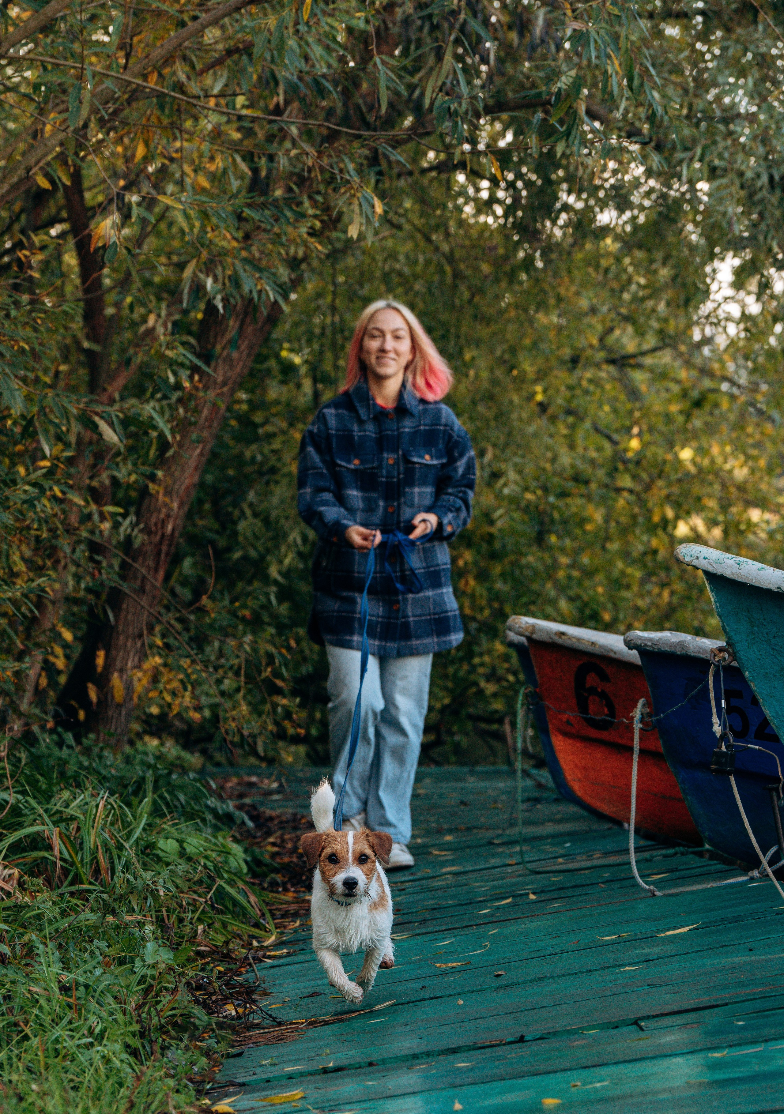 Фотосессия с маленькой собакой Спб. Фотограф анималист в Спб недорого Олеся Майорова