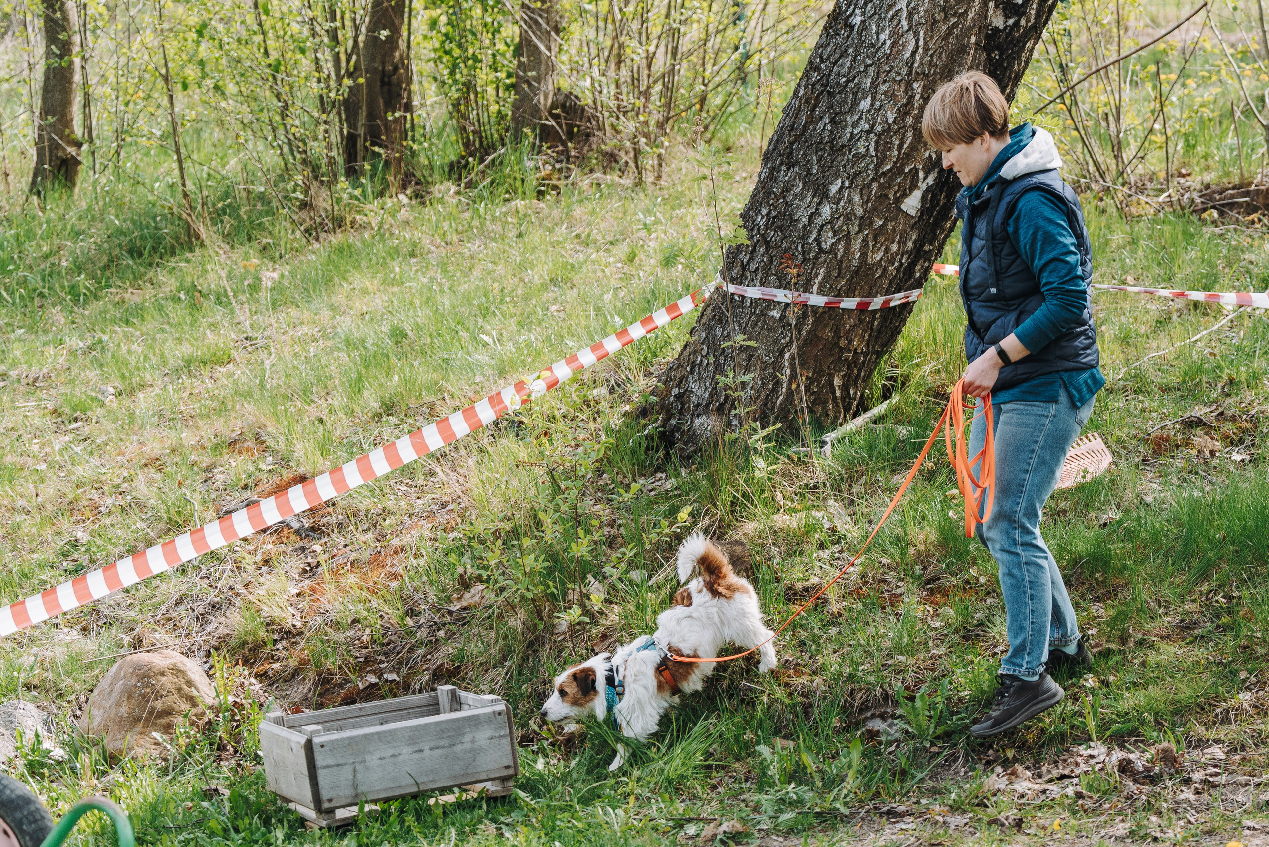 Соревнования по ноузворку в Лосево. Фотограф анималист в Спб недорого Олеся Майорова