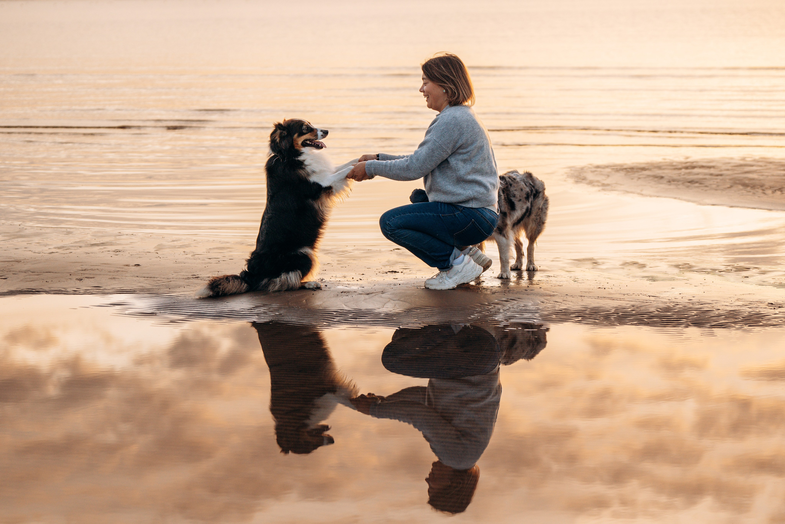 Фотограф анималист в Спб. Фотограф анималист в Спб недорого Олеся Майорова