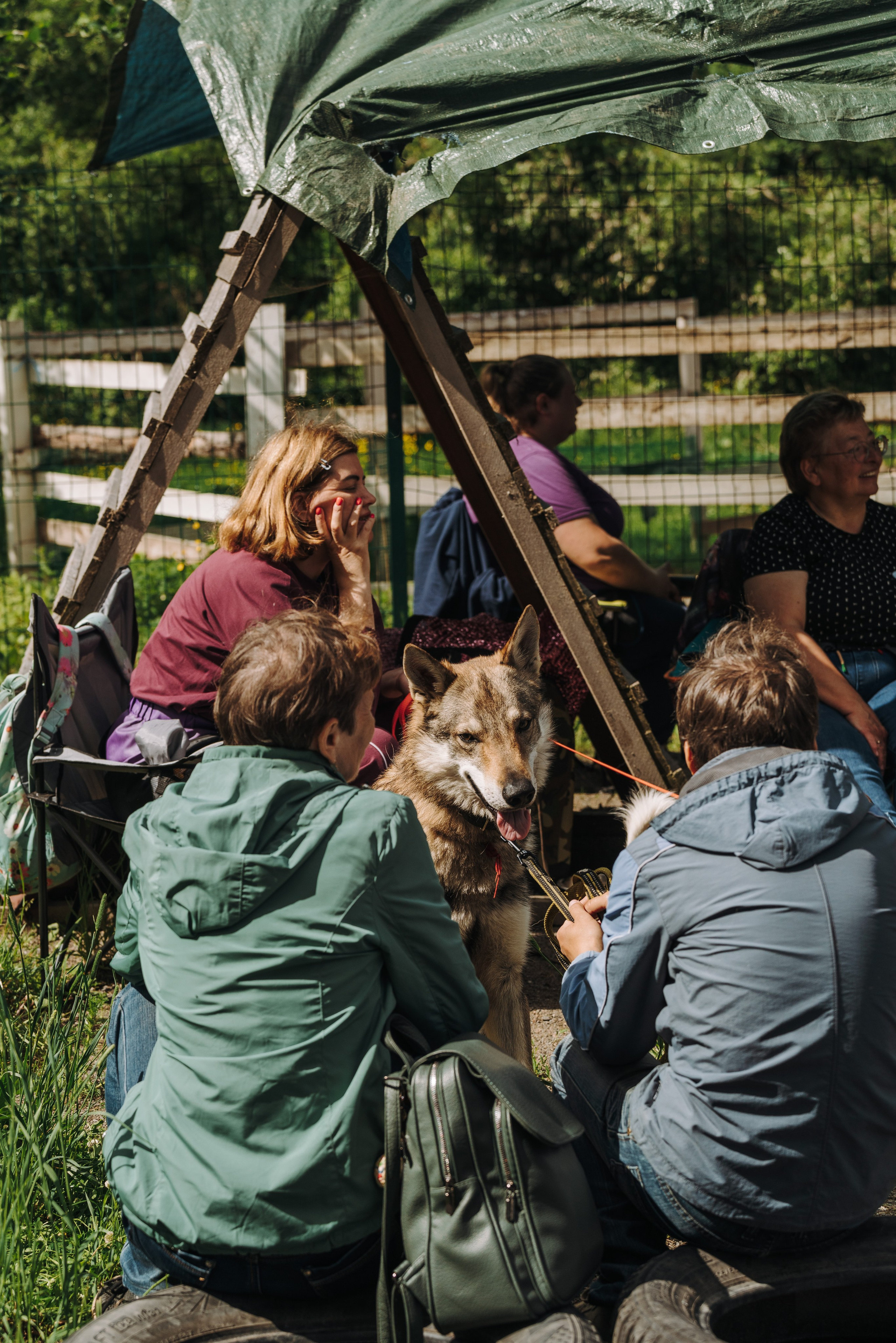 Соревнования по ноузворку. Фотограф анималист в Спб недорого Олеся Майорова