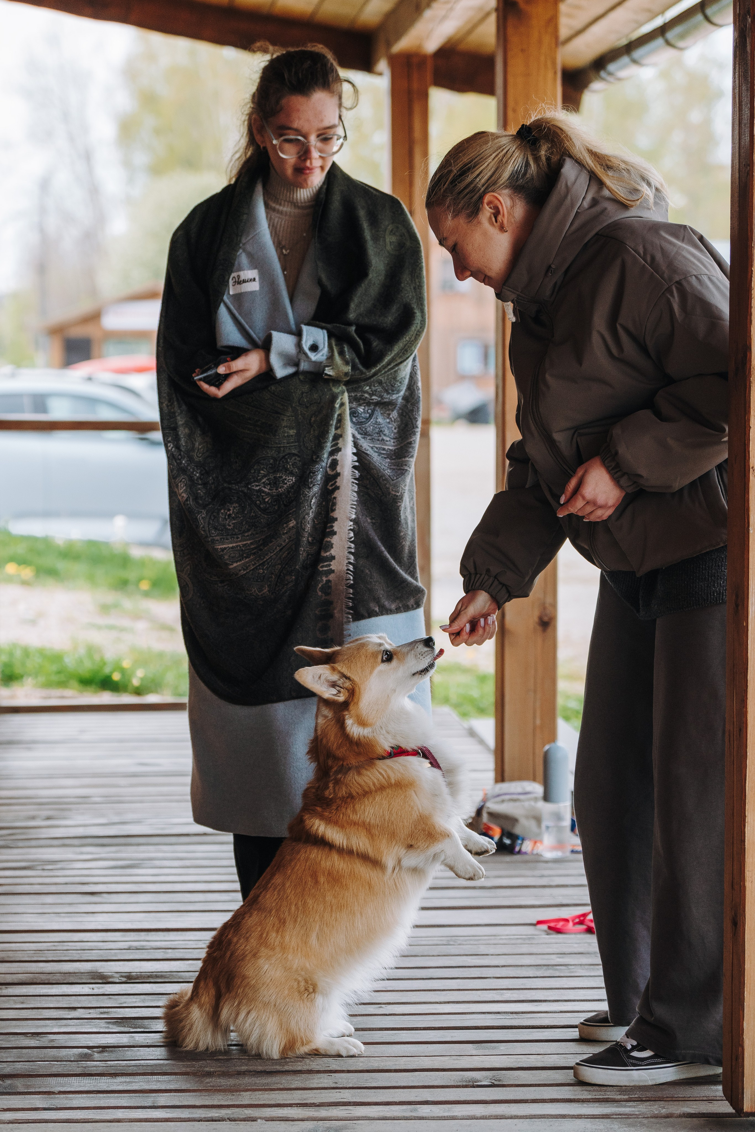Соревнования по ноузворку в Лосево. Фотограф анималист в Спб недорого Олеся Майорова