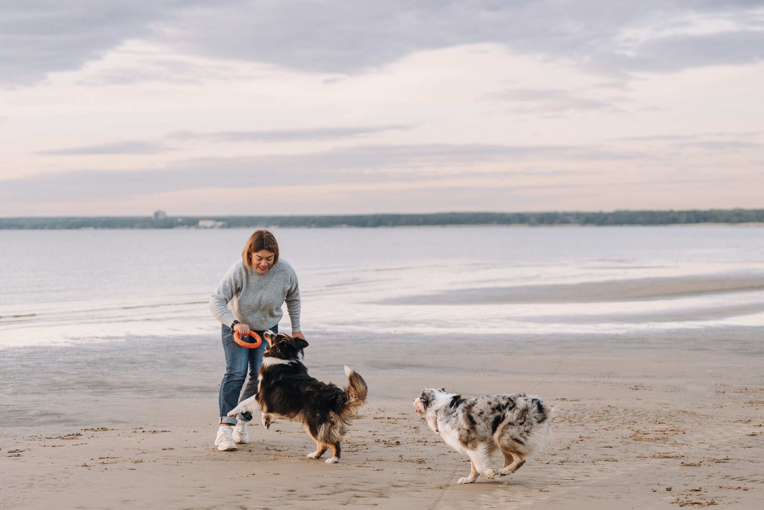 Фотограф анималист в Спб. Фотограф анималист в Спб недорого Олеся Майорова