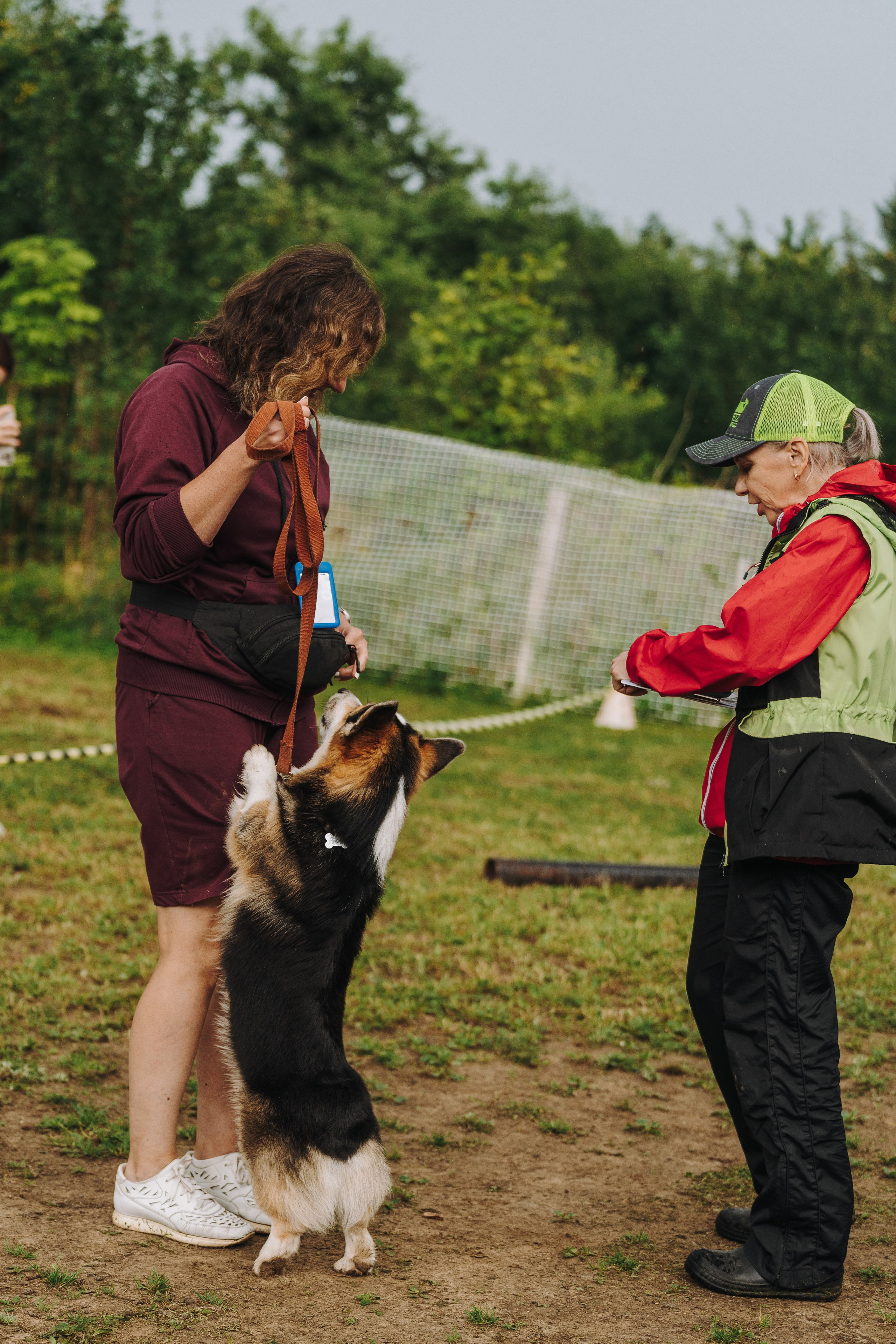 Соревнования по ноузворку в Новожилово. Фотограф анималист в Спб недорого Олеся Майорова