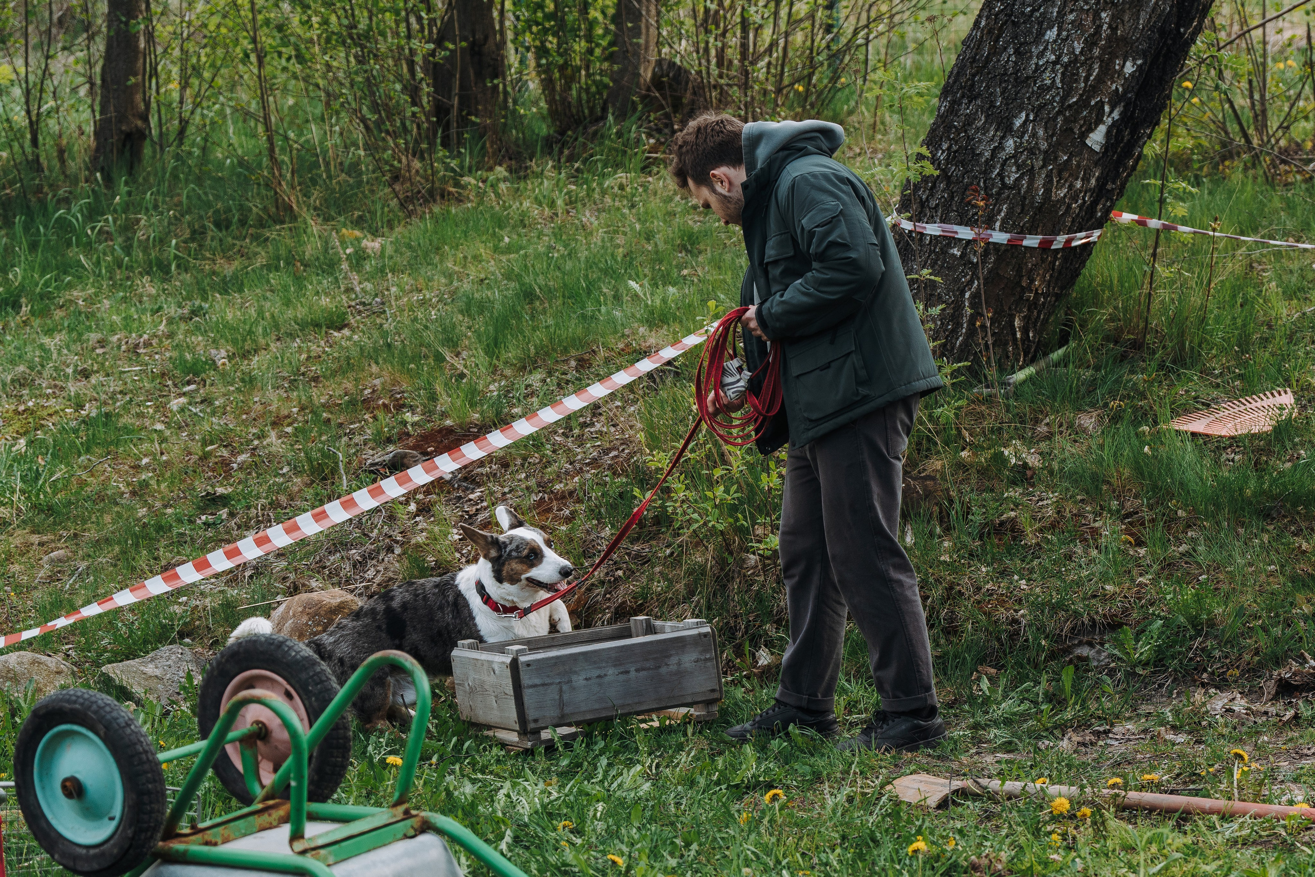 Соревнования по ноузворку в Лосево. Фотограф анималист в Спб недорого Олеся Майорова