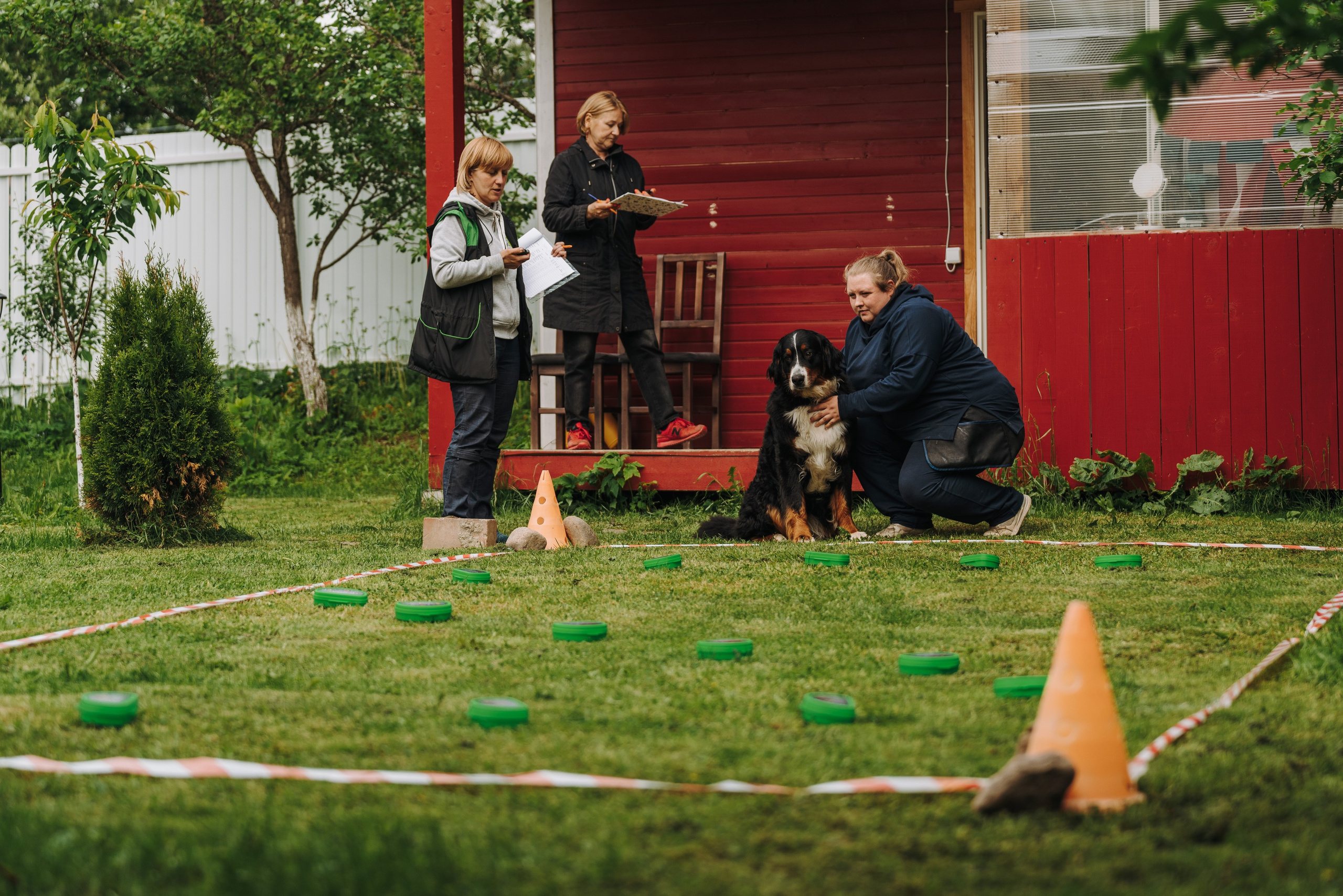 Соревнования по ноузворку. Фотограф анималист в Спб недорого Олеся Майорова