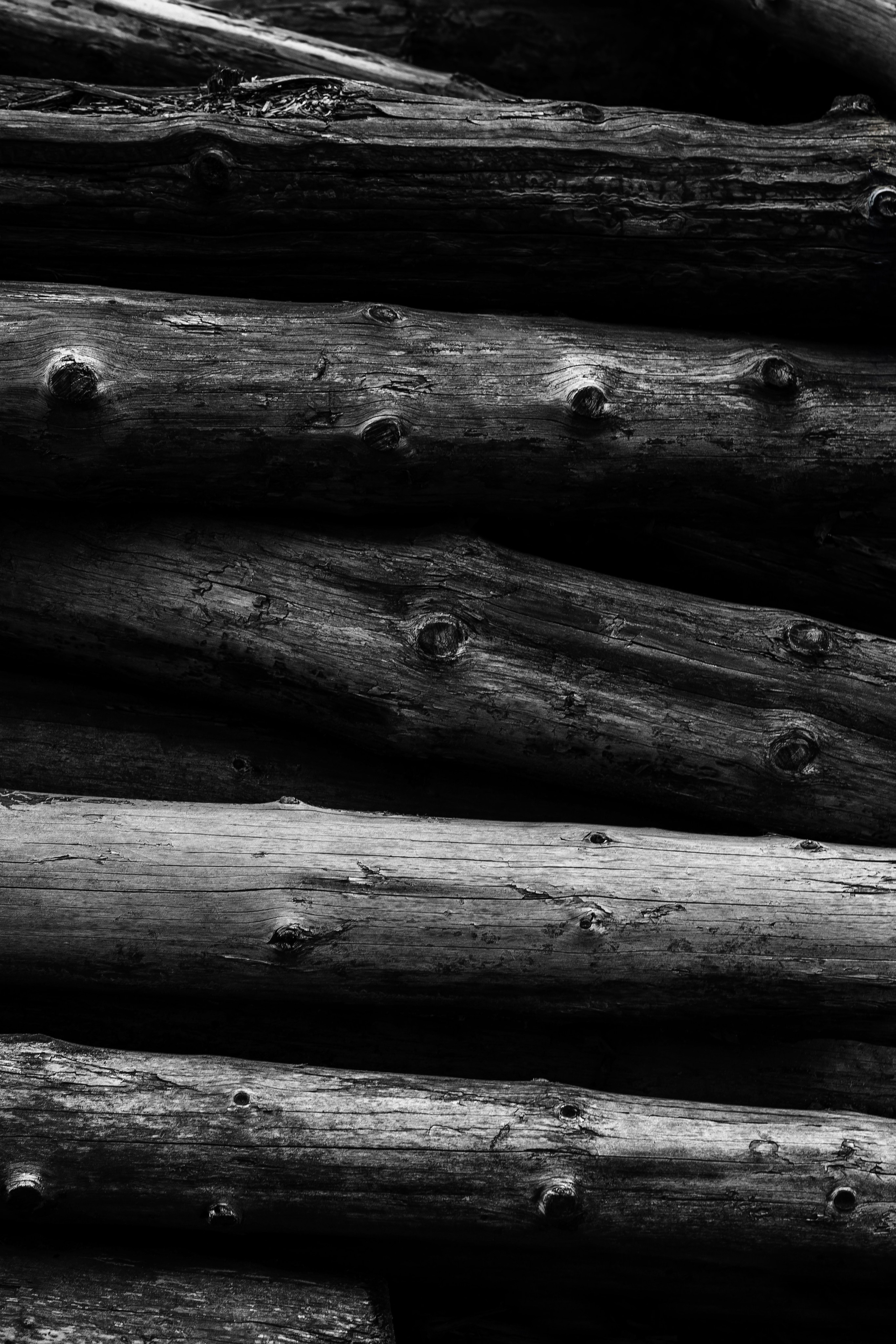 Жизнь. Фотограф Алматы | Весь мир — Никита Колодин