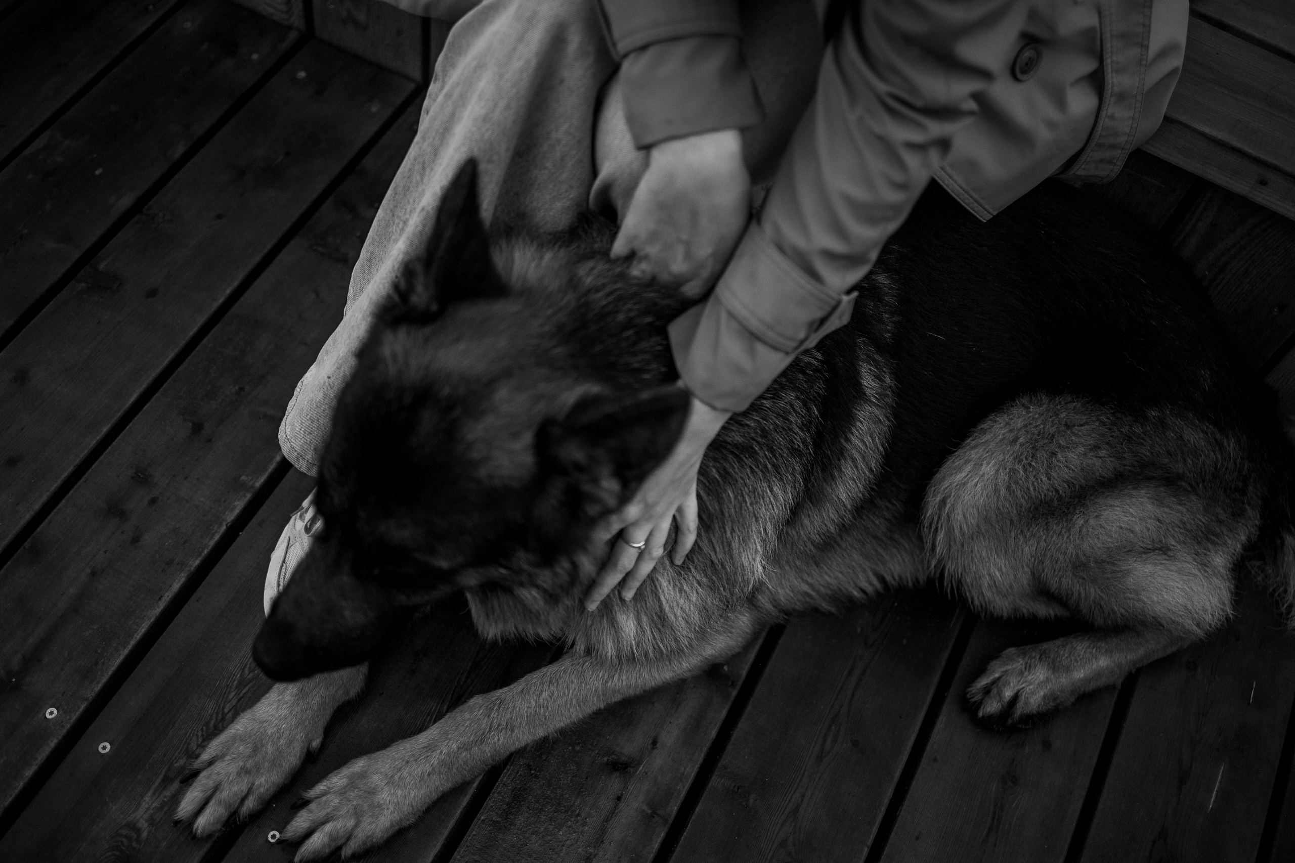 Катя и Агат. Фотограф — Анималист | Санкт-Петербург