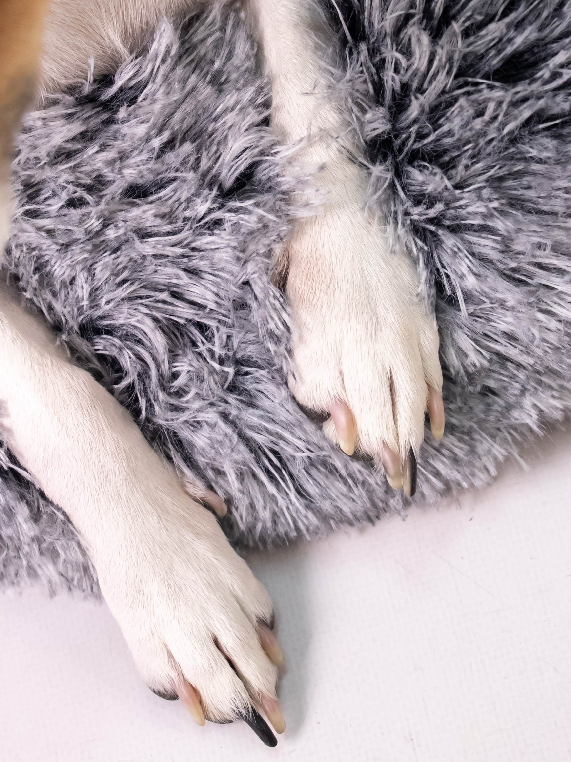 Модельная съемка. Leclerc-studio