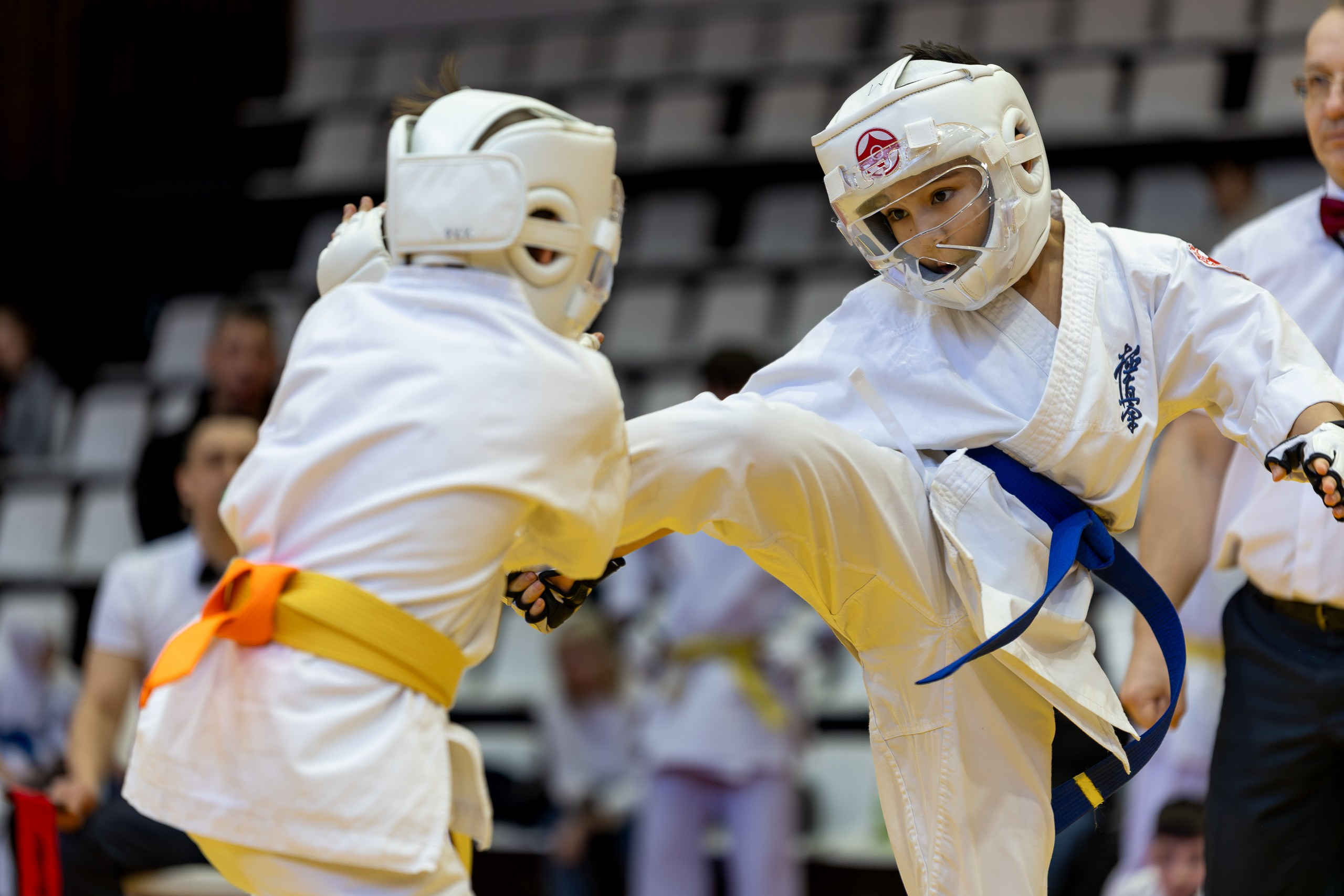 Карате кумите. Главная