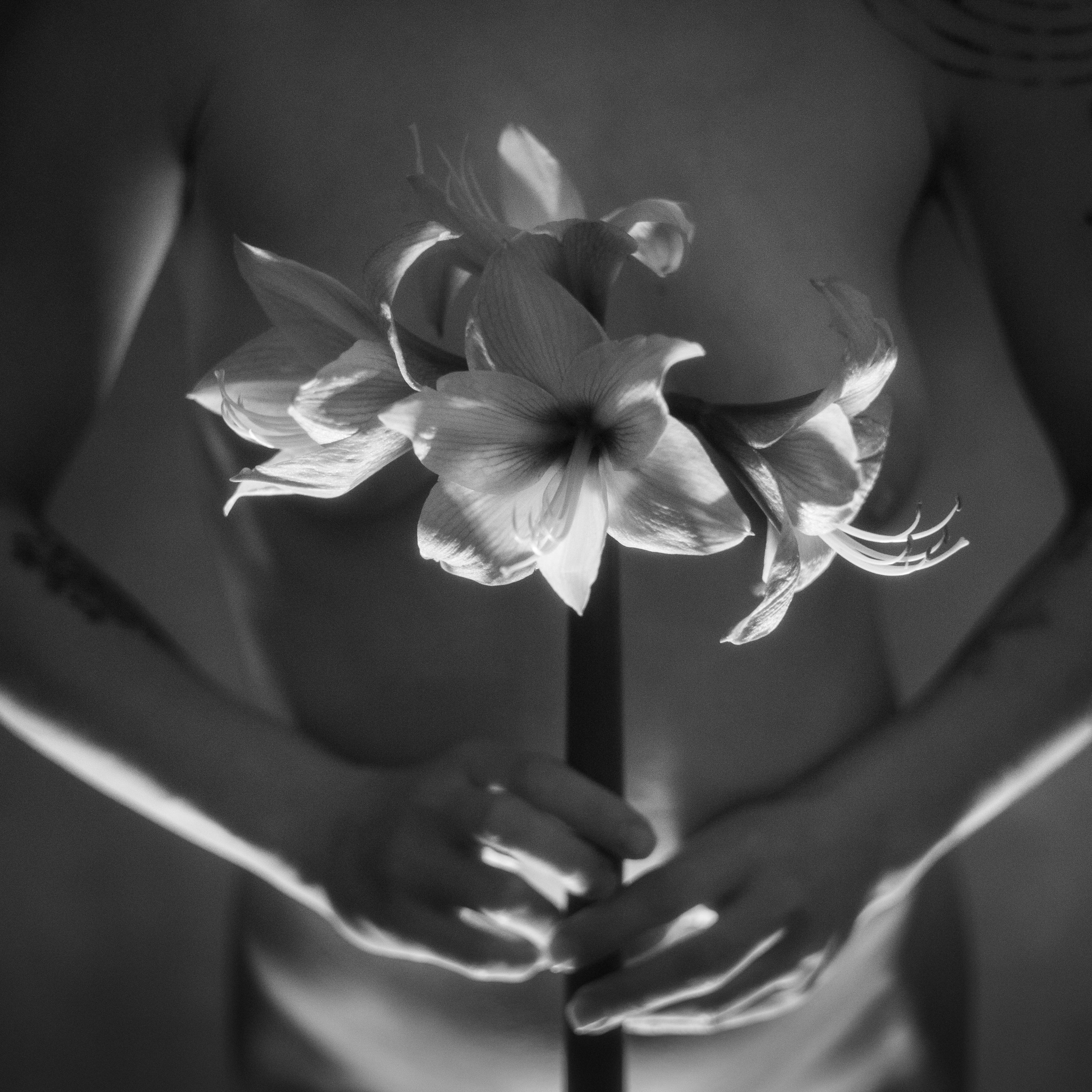 Телесность. Мастерская Демченко