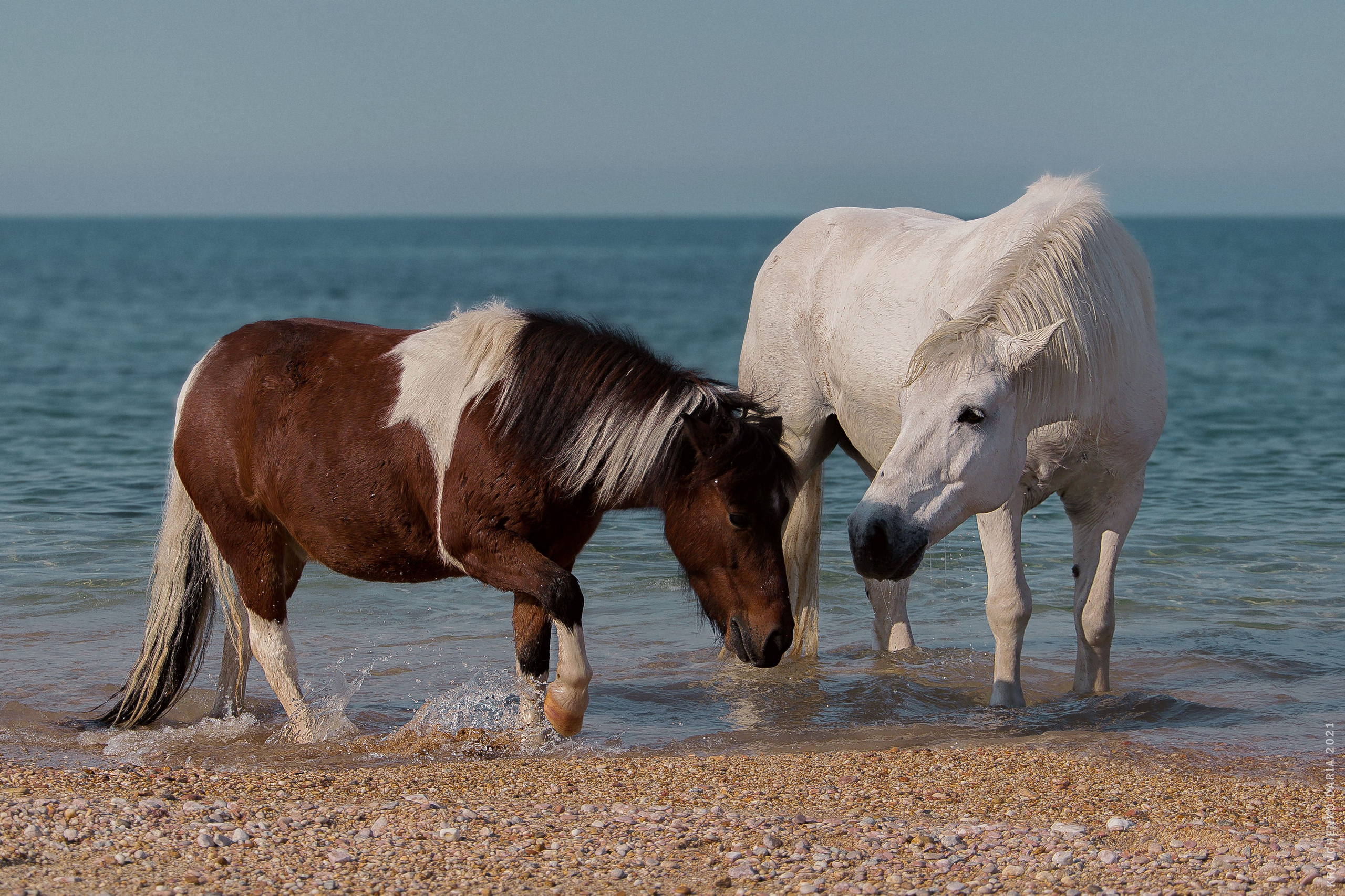 Миф и Фунтик. Фотограф в Севастополе
