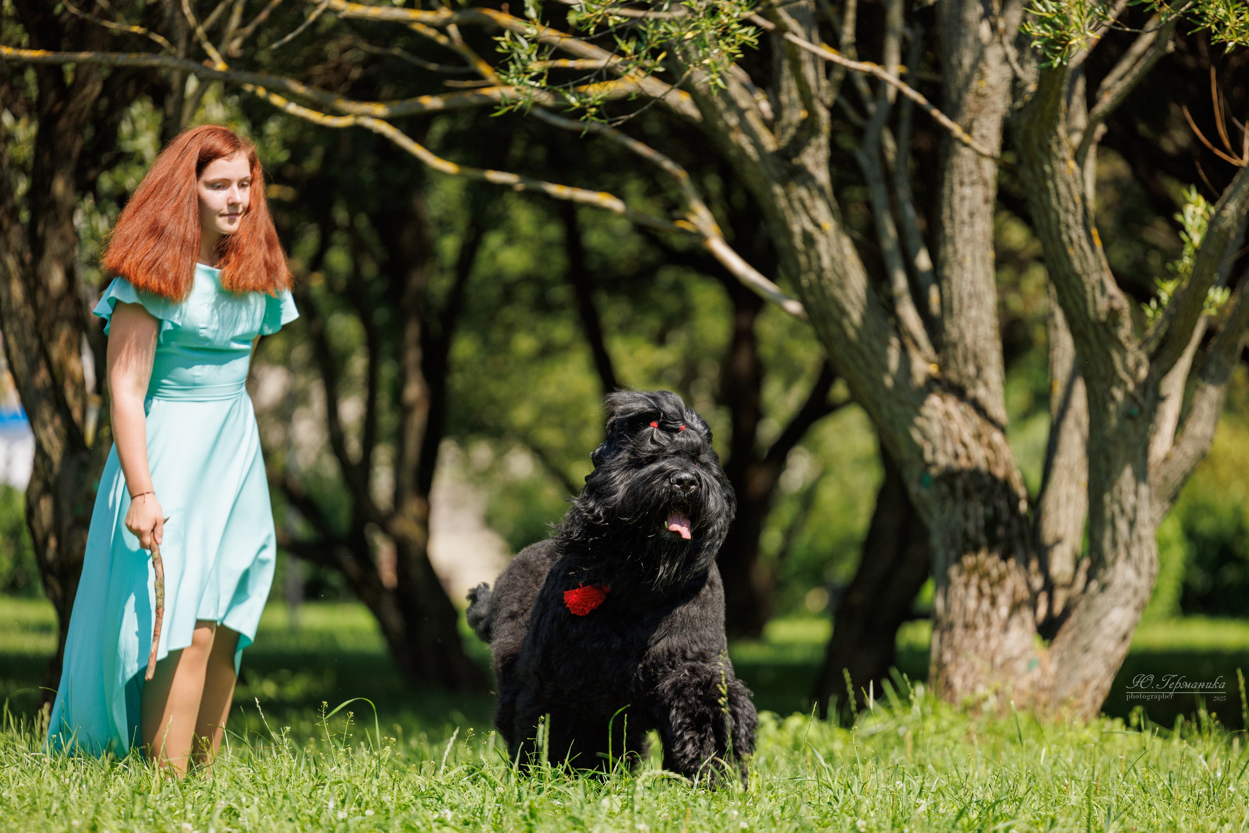 Фотосет Бригада УХ)). Фотограф-анималист Юлия Германика