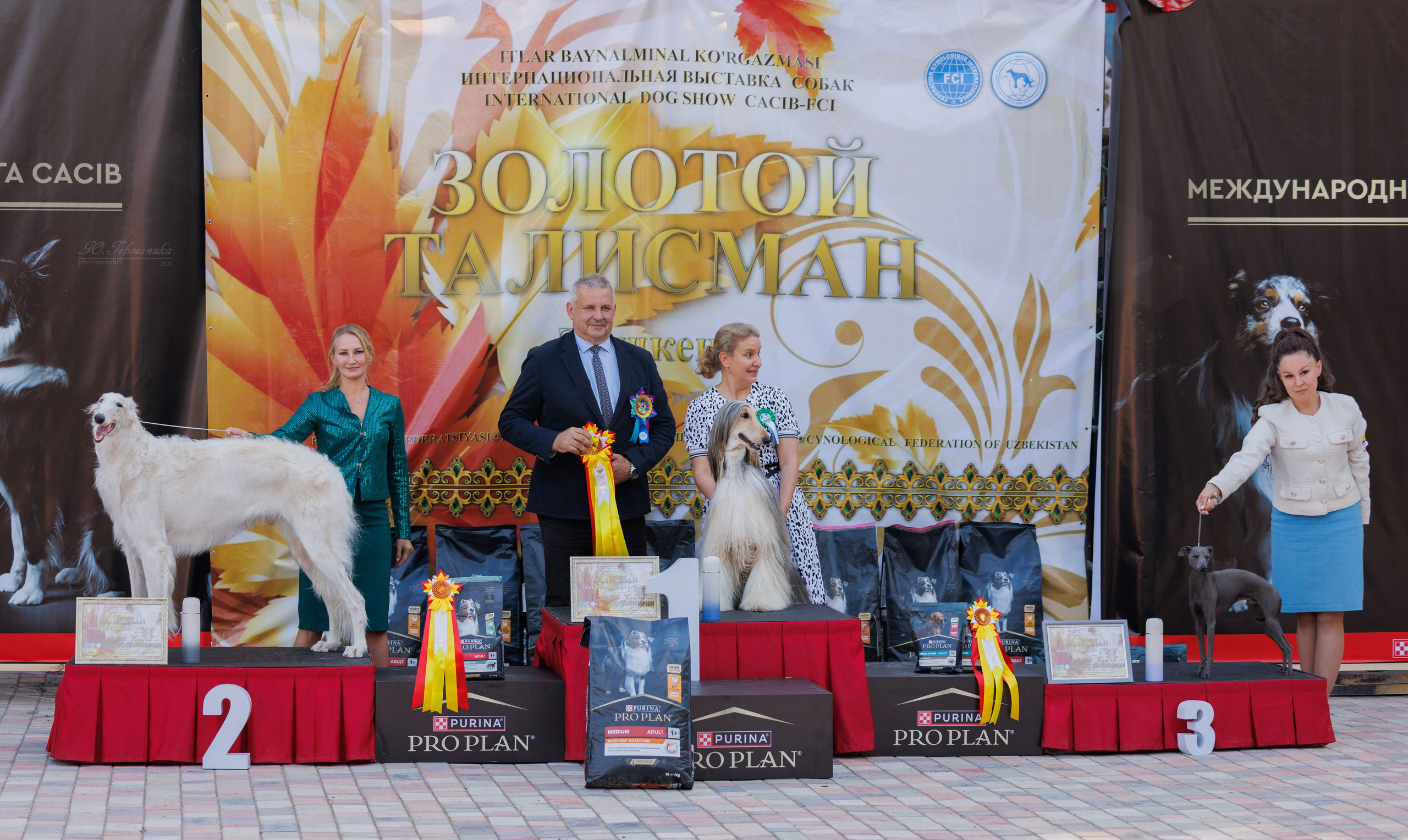 Ташкент 3хCACIB 3-5.10.2025. Фотограф-анималист Юлия Германика