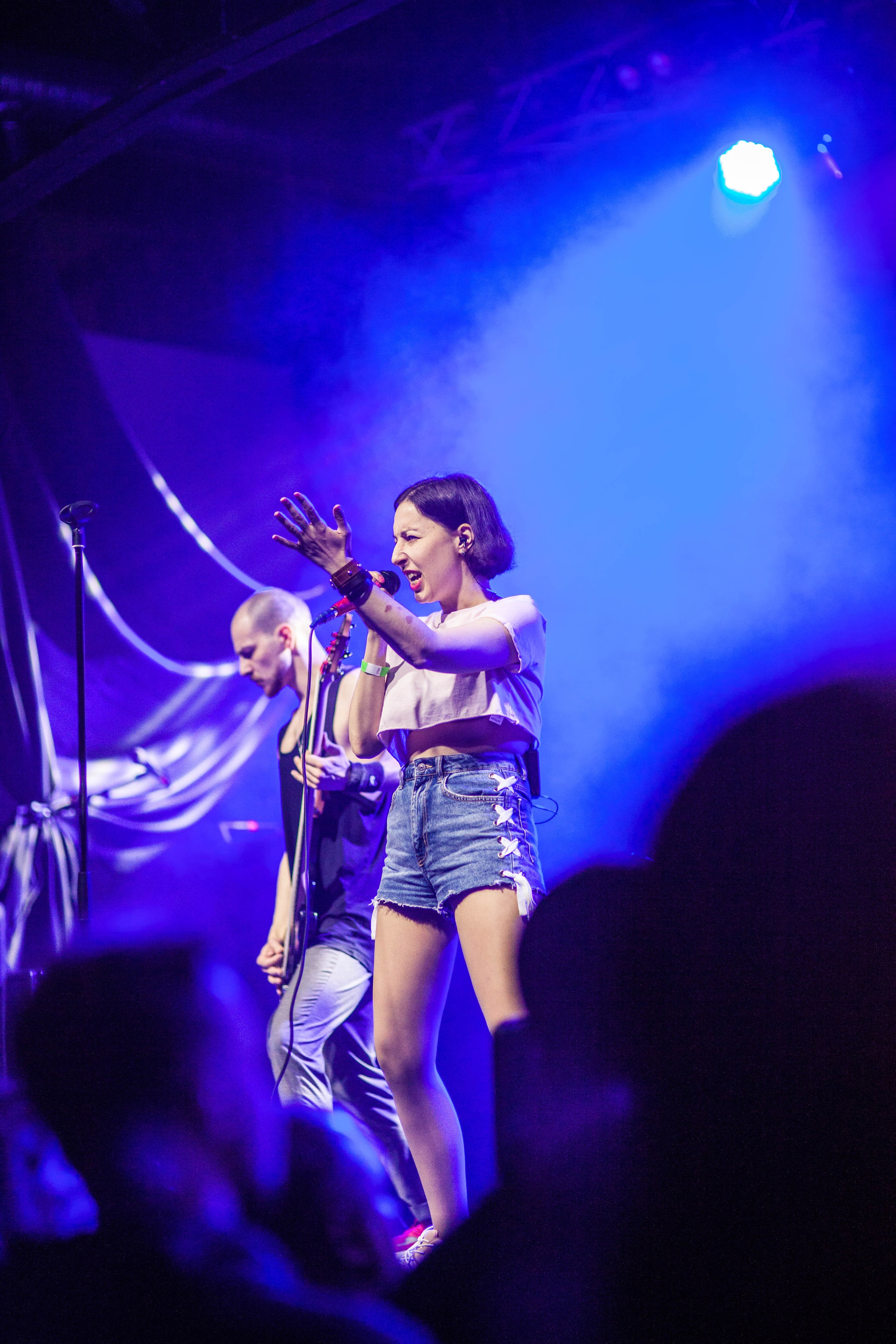 NextDoorHaven. Твой фотограф — Полосатый кот