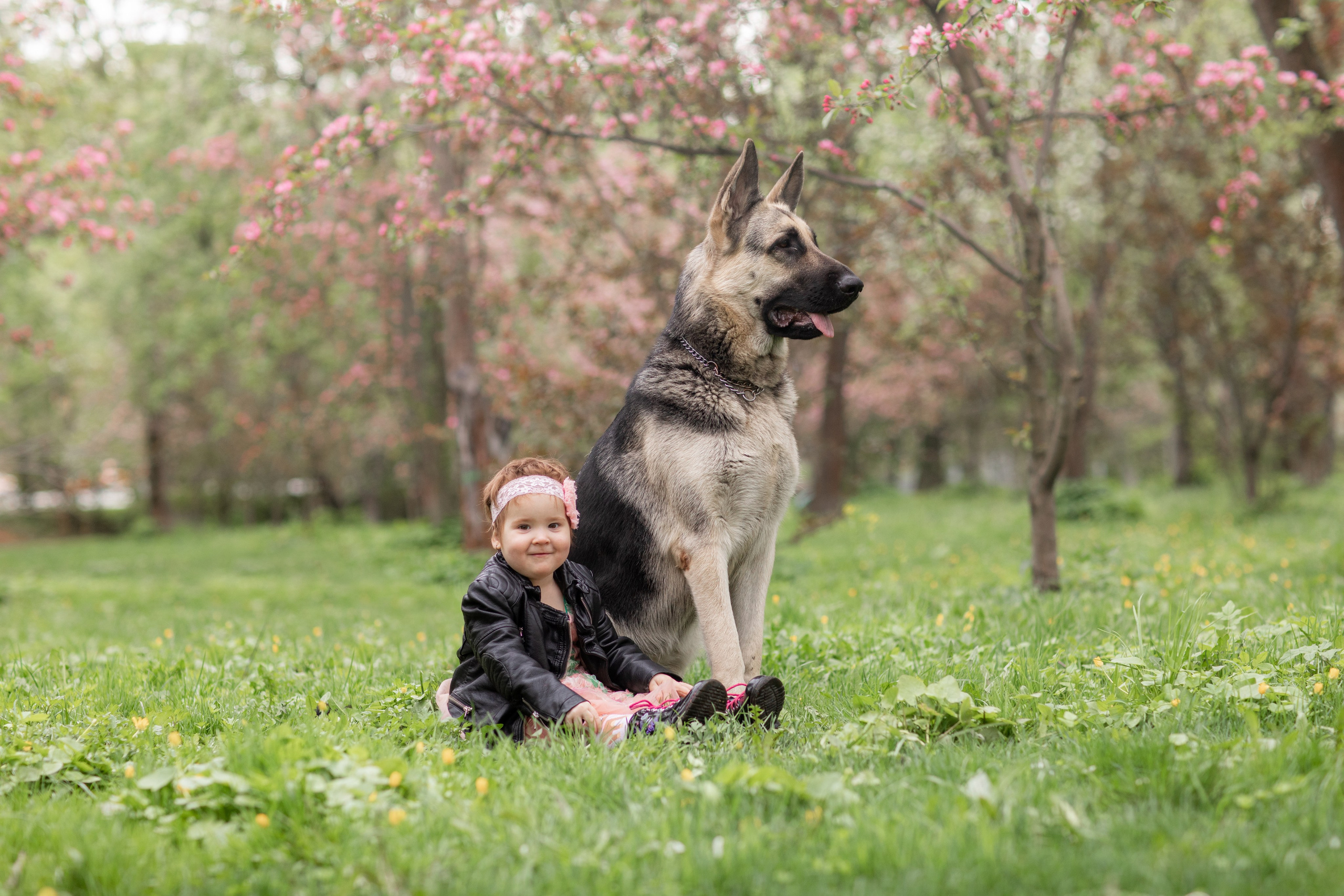Детская фотосессия. Детский фотограф, фотограф-анималист