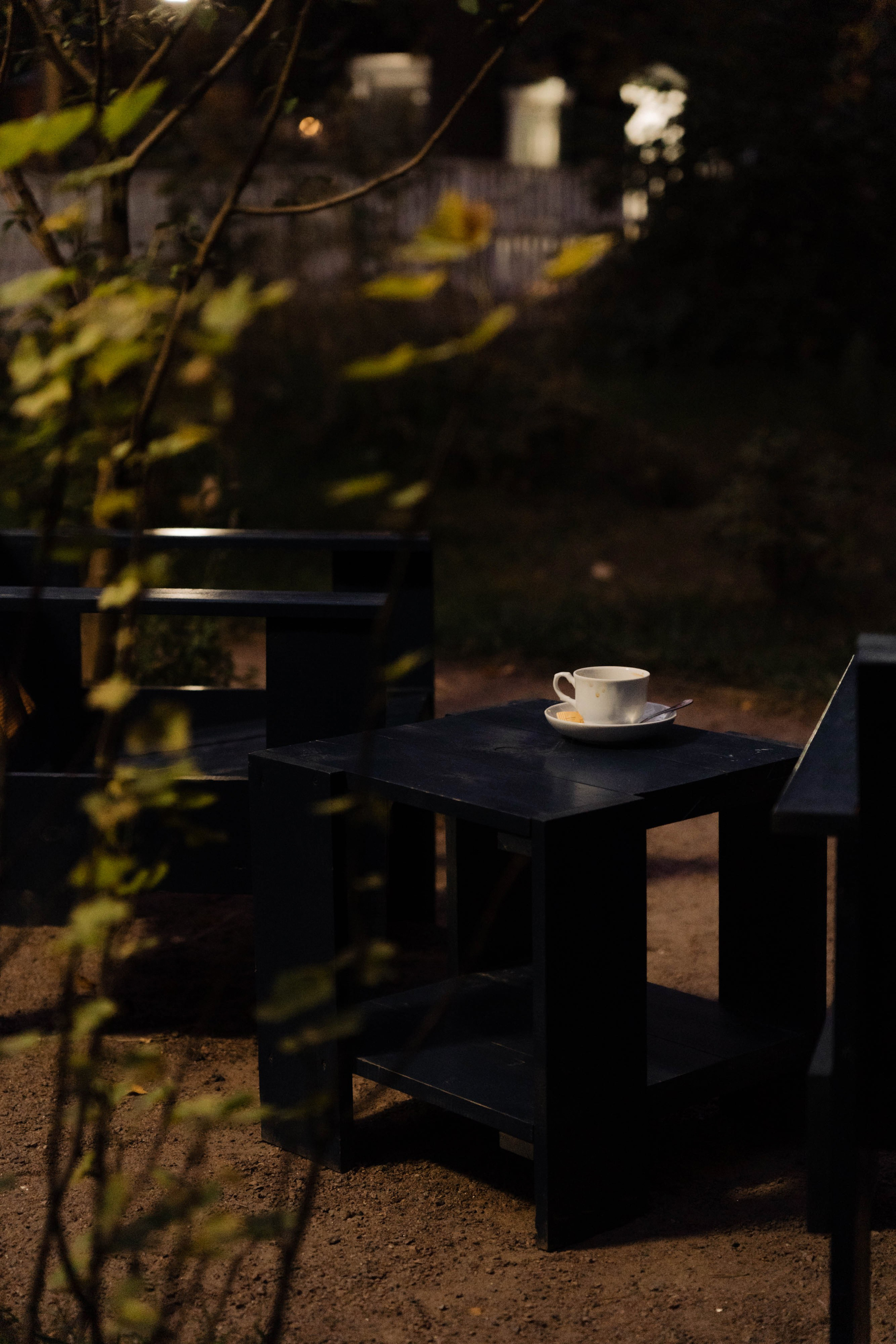 Встреча в «Робине» Переделкино. ФОТОГРАФ КСЕНИЯ СОСНОВСКАЯ