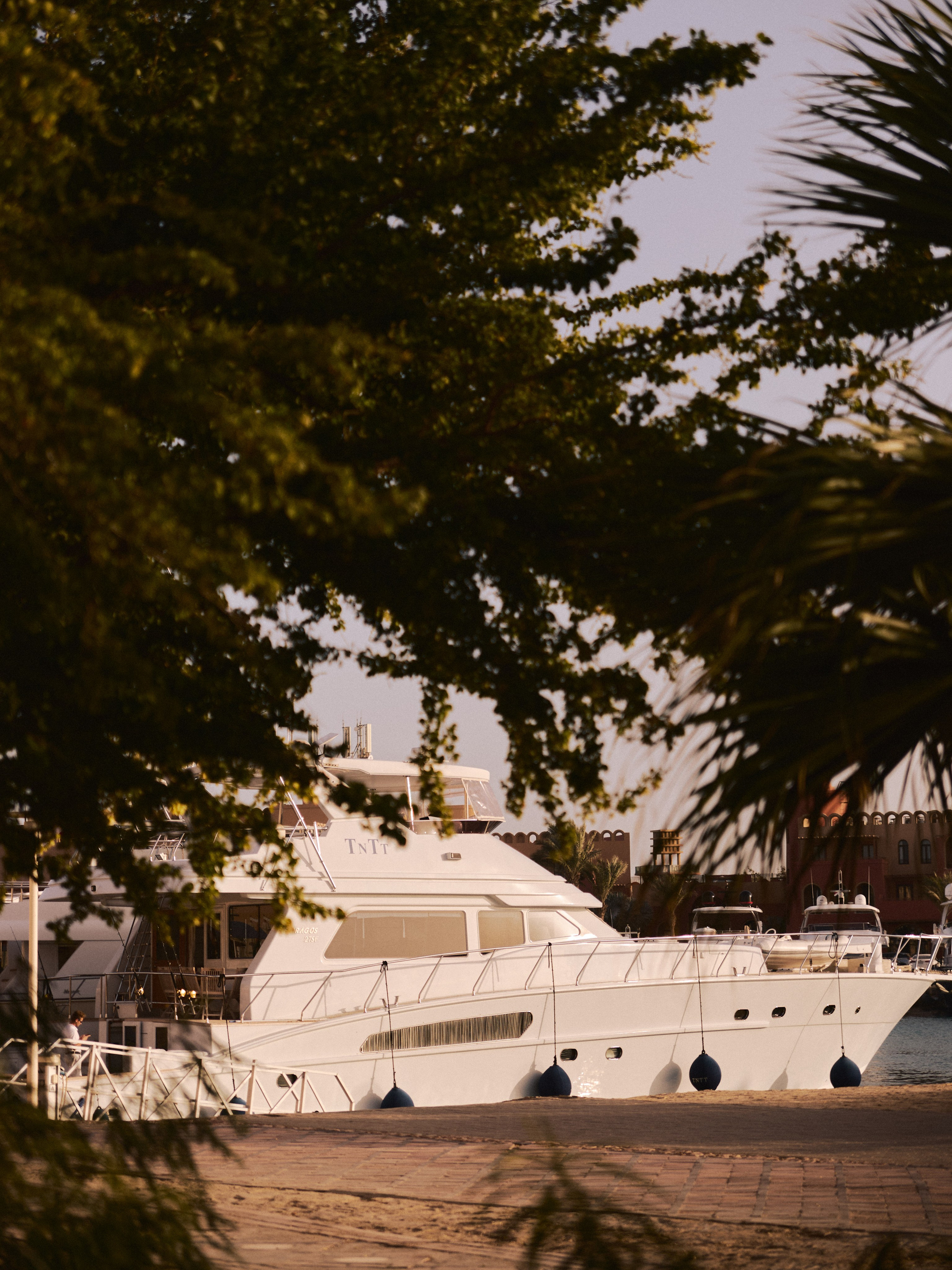 Природа сквозь. Jorgis Talè — photographer, kind person, teacher of arts and other mag