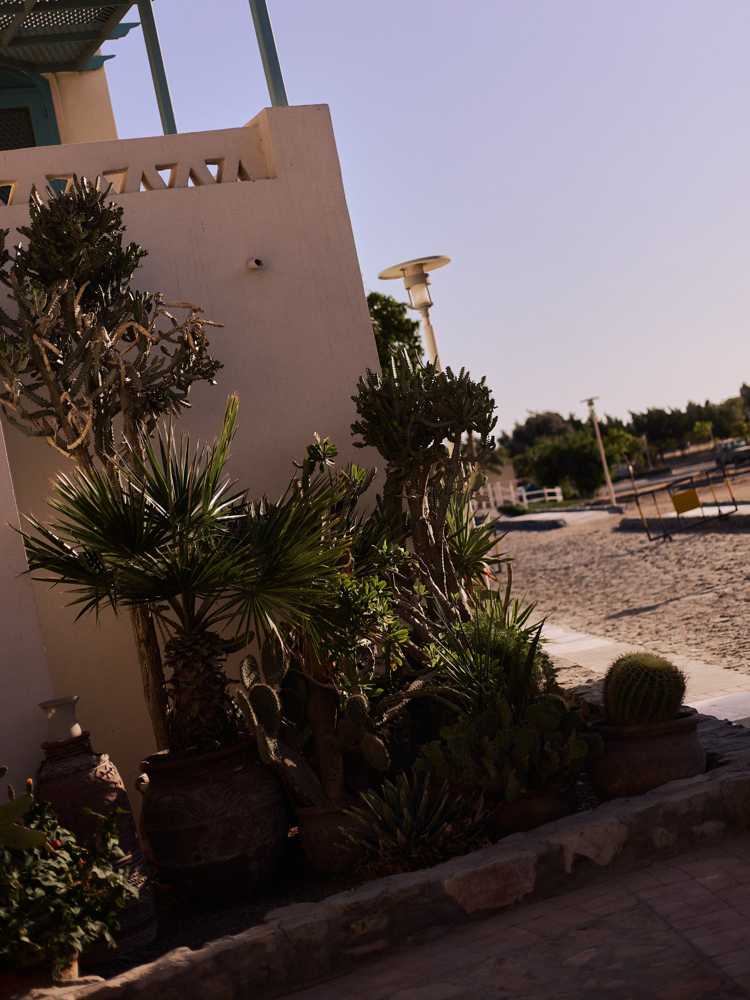 Другое 4. Jorgis — фотограф в Хургаде / обучение фотографии