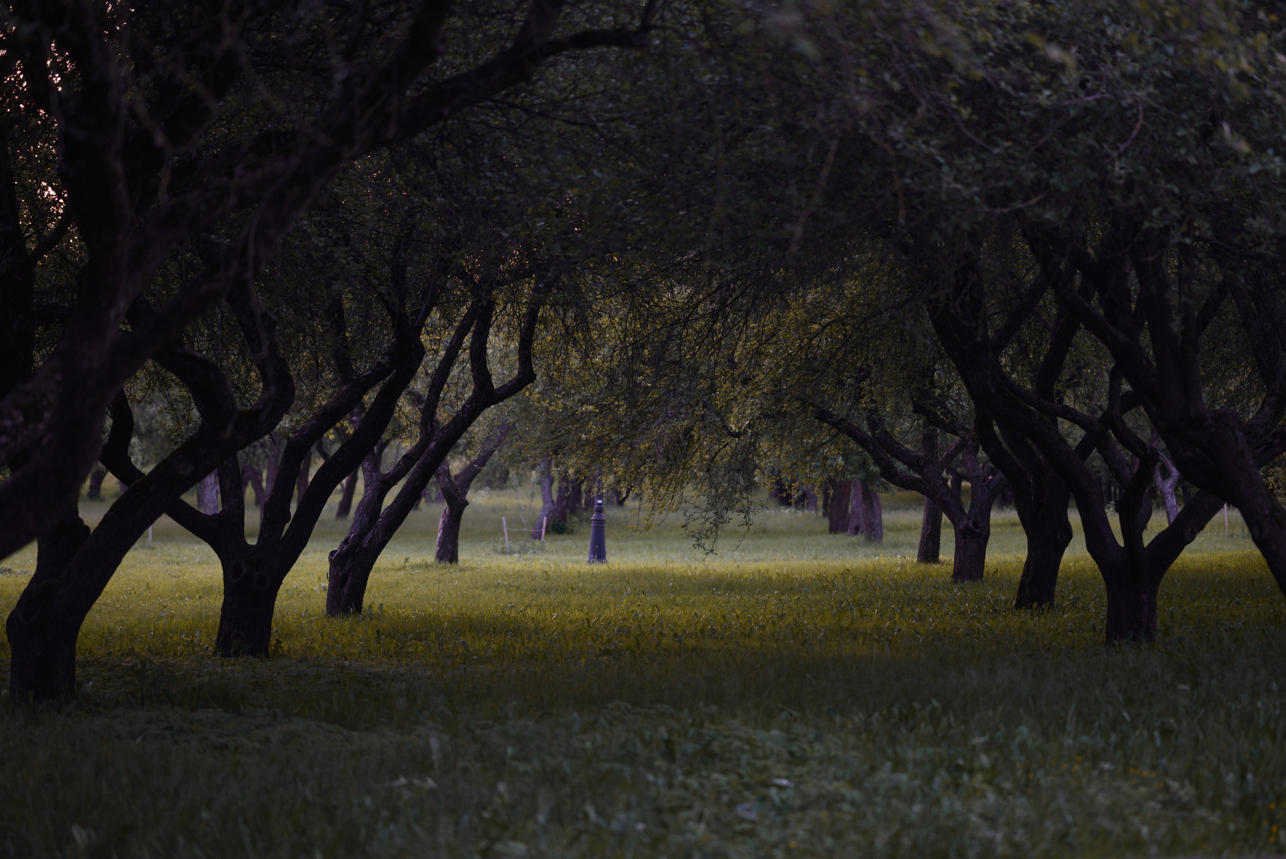 Места. Фотограф в Минске Дарья Кончакова