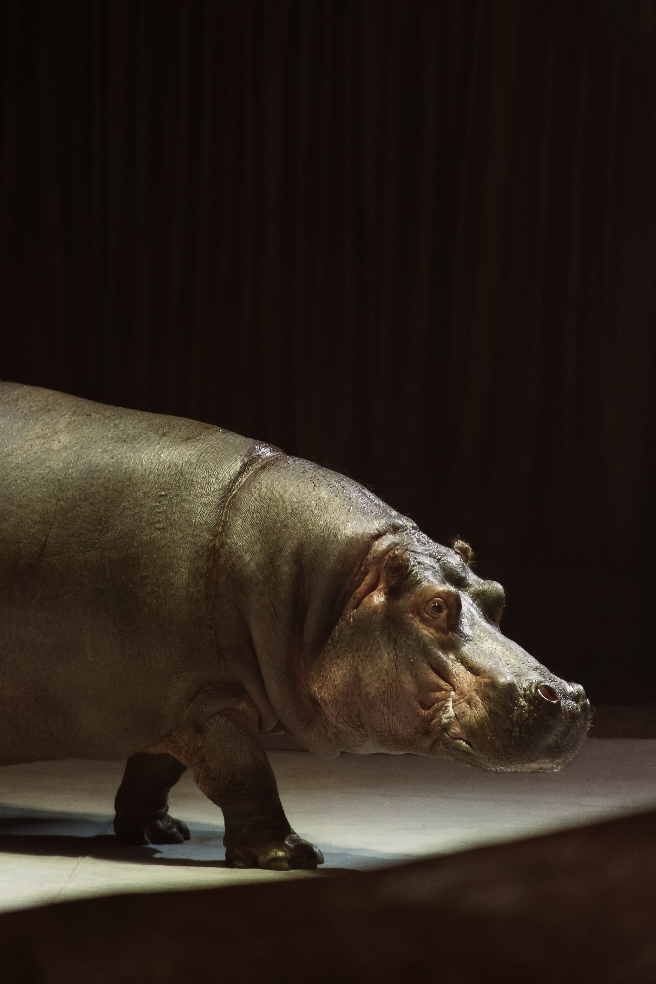 Репортаж. Фотограф Новосибирск Анна Рождественская