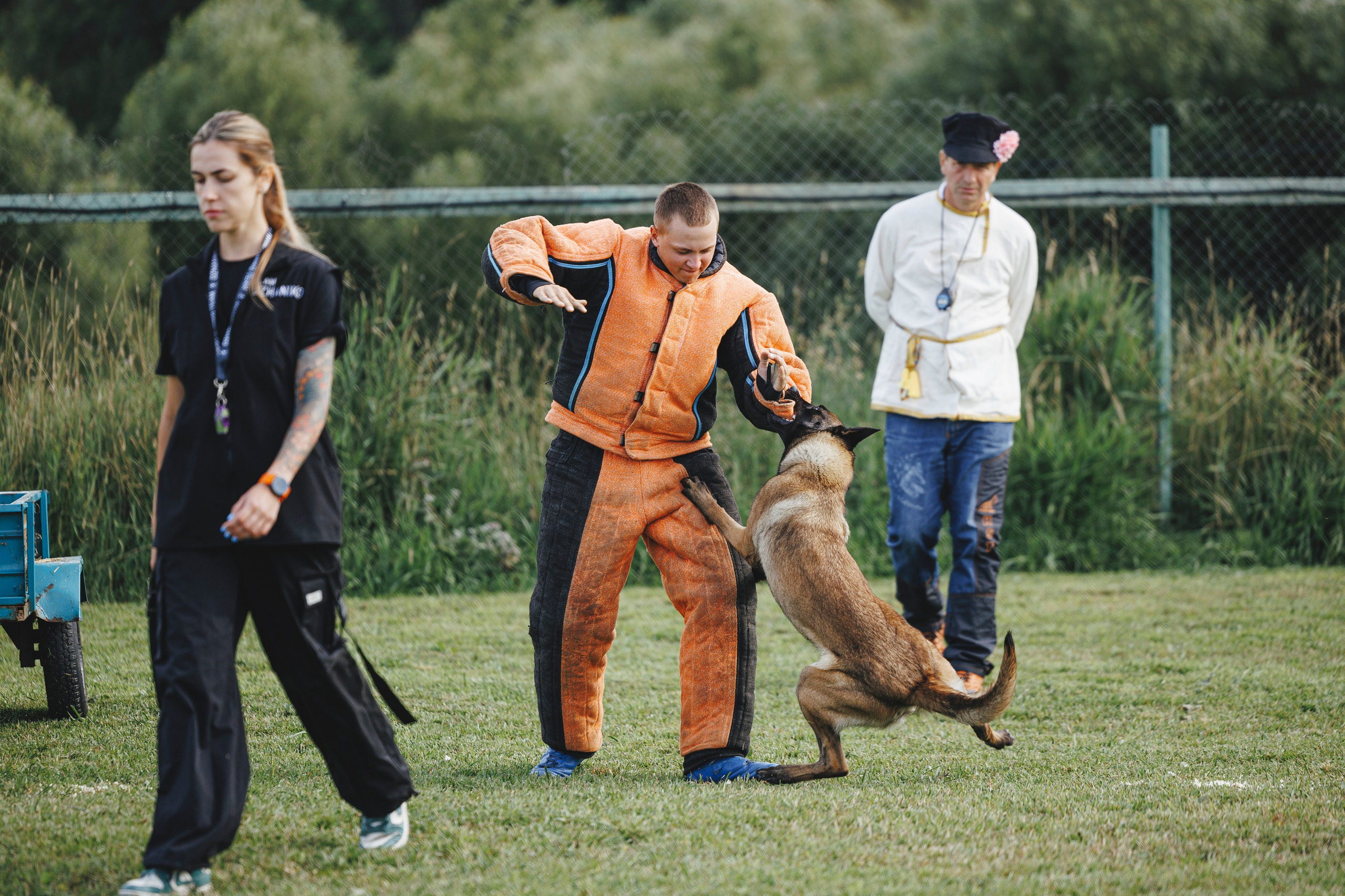 08.08.25-10.08.25 ЧР по мондьорингу г. Вологда. Фотограф-анималист Анна Маринич