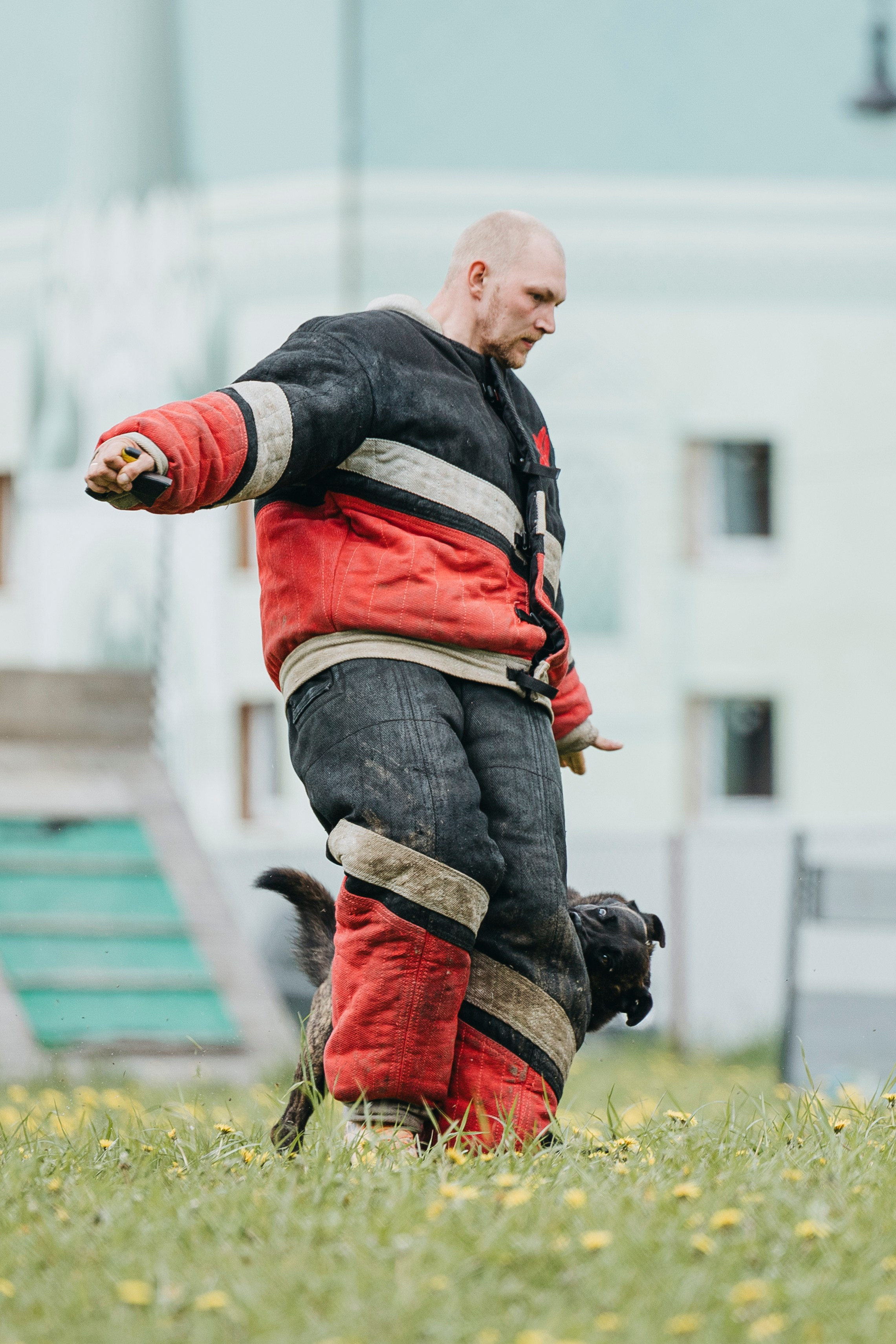 26.05.25 г. Пушкин квалификационные соревнования. Фотограф-анималист Анна Маринич